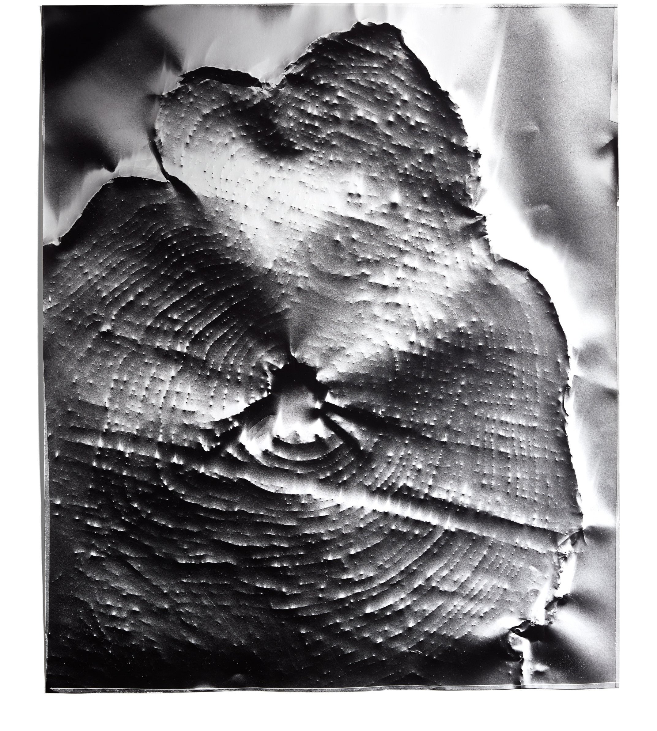   Automatic Earth 1,  2016 Photographic rubbing (embossed silver gelatin photogram) 24 x 20 in 