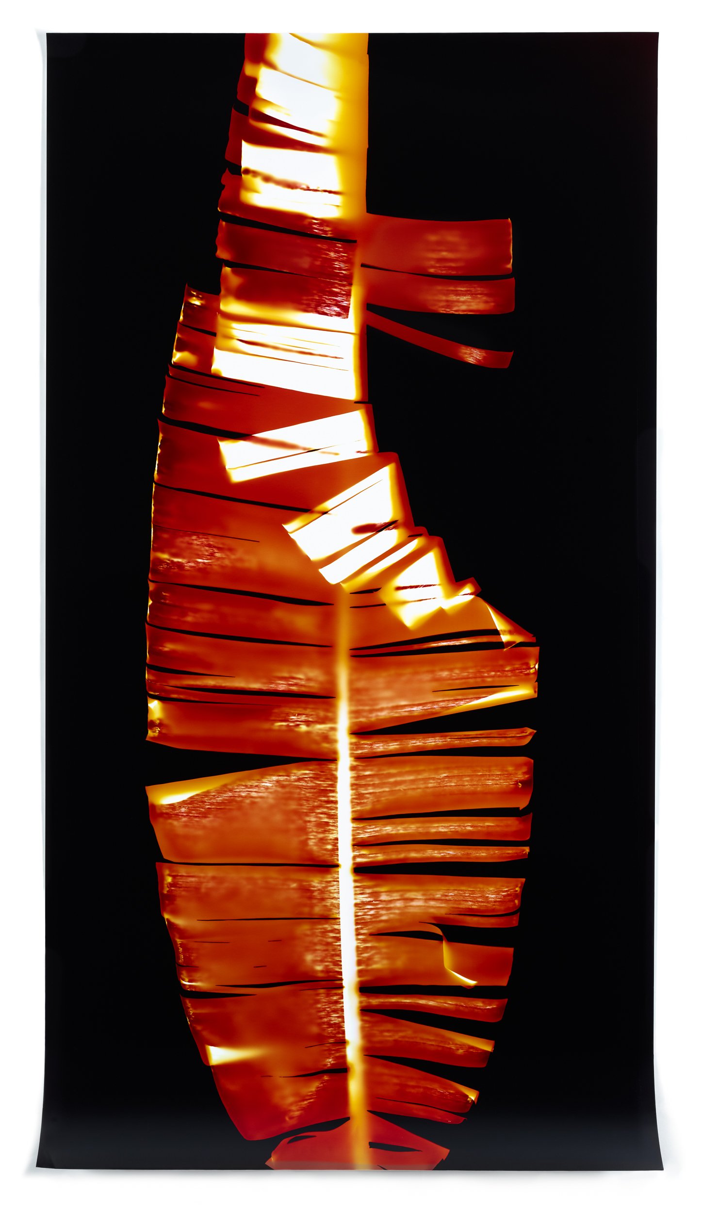   Portrait (Red Sail 1),  2014   Chromogenic photogram 60 x 32 in 
