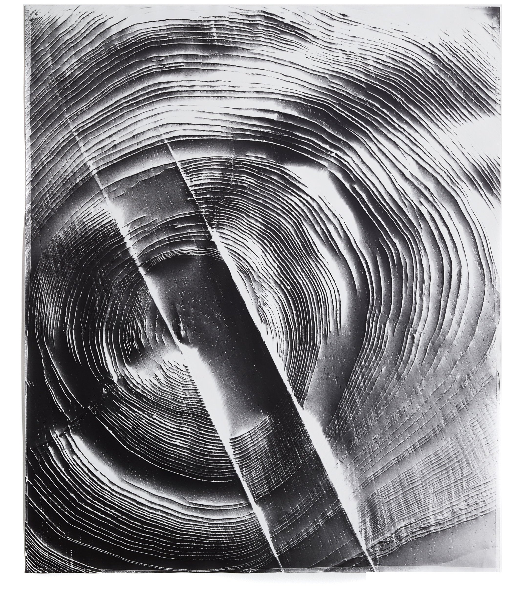   Automatic Earth 12,  2016 Photographic rubbing (embossed silver gelatin photogram) 24 x 20 in 