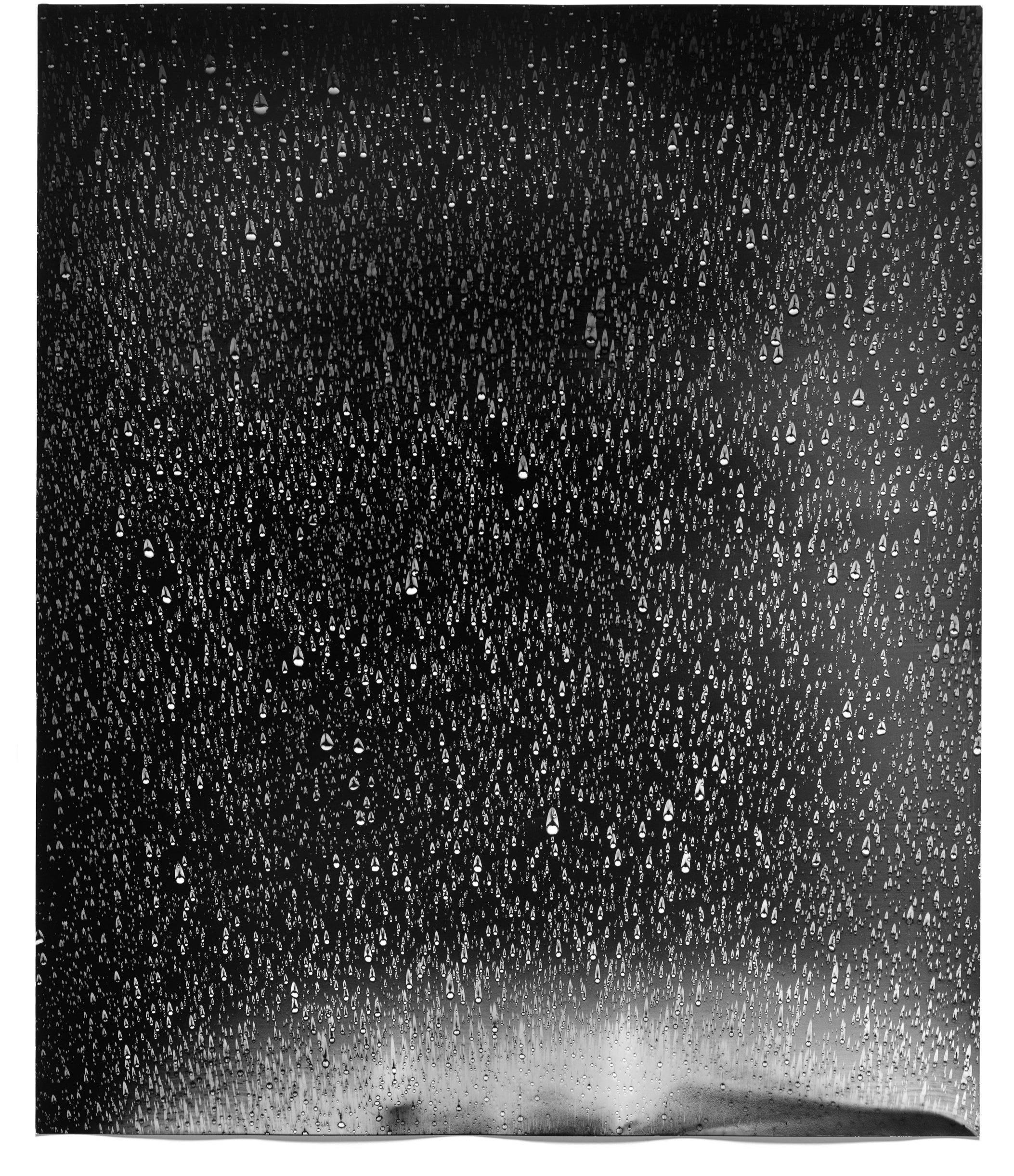   Rain Study (California 2),  2013   Silver gelatin photogram 24 x 20 in 