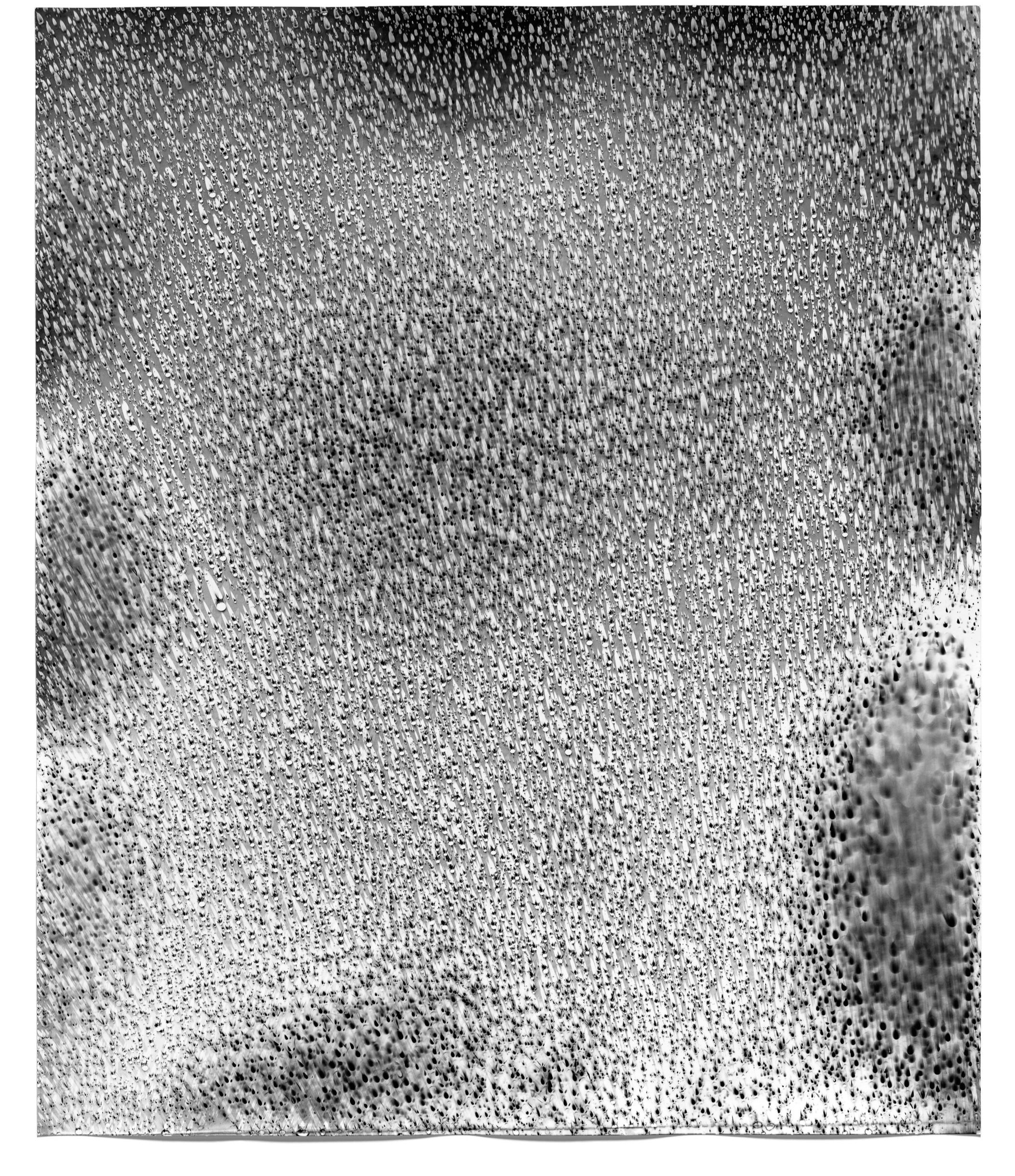   Rain Study (Puna 6),  2014   Silver gelatin photogram 24 x 20 in 