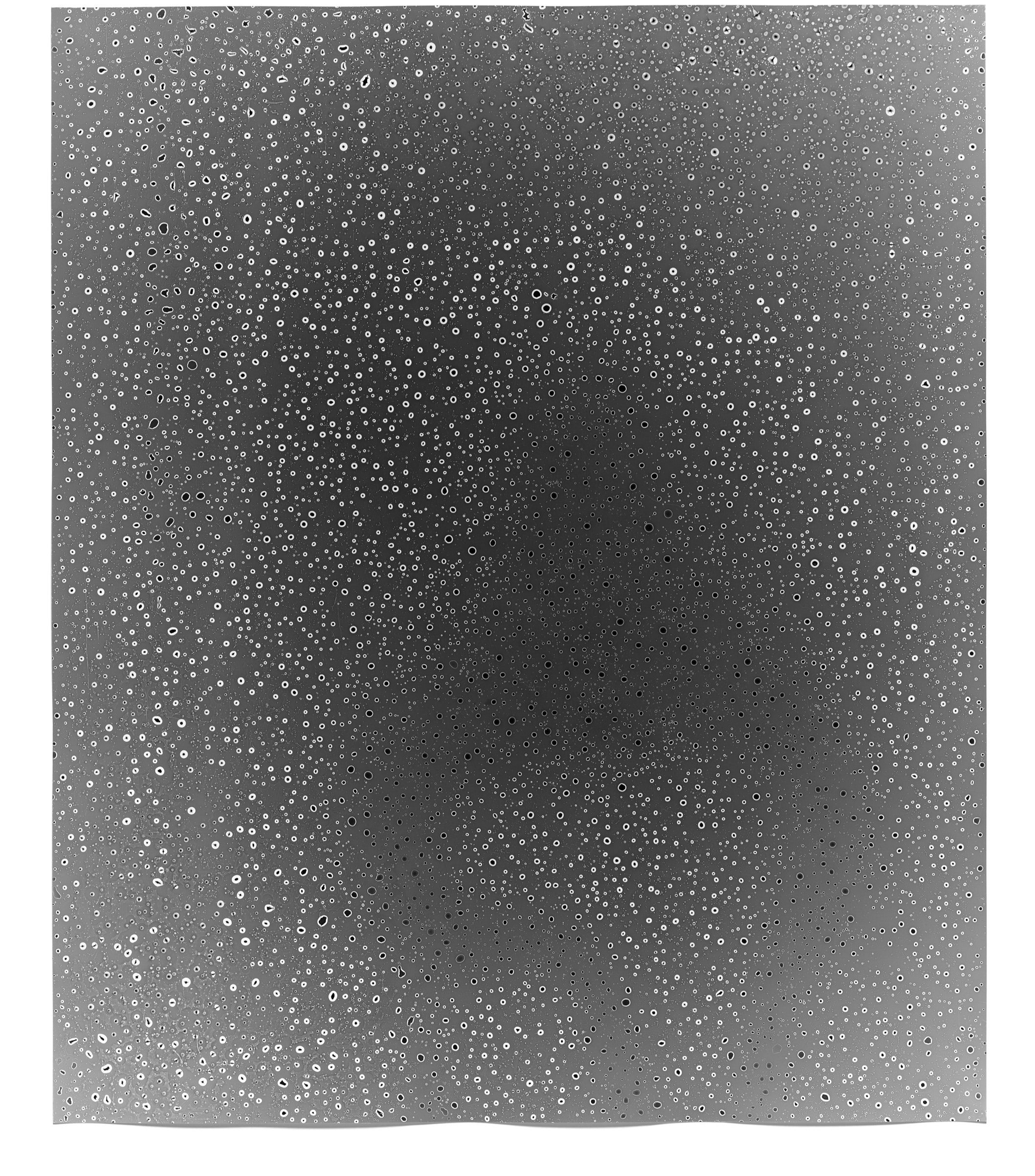   Rain Study (Kona 17),  2014   Silver gelatin photogram 24 x 20 in 