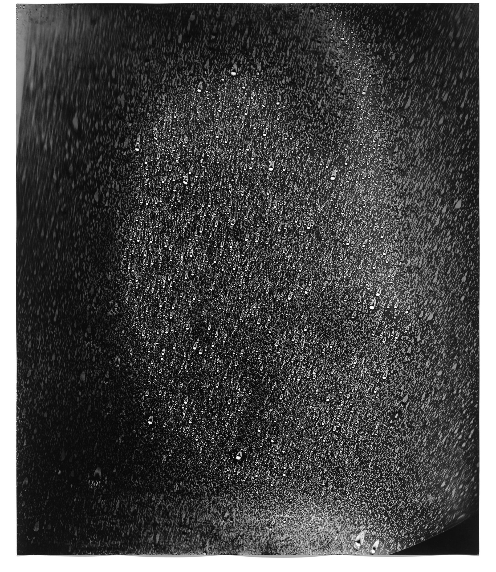   Rain Study (Kona 7),  2014   Silver gelatin photogram 24 x 20 in 