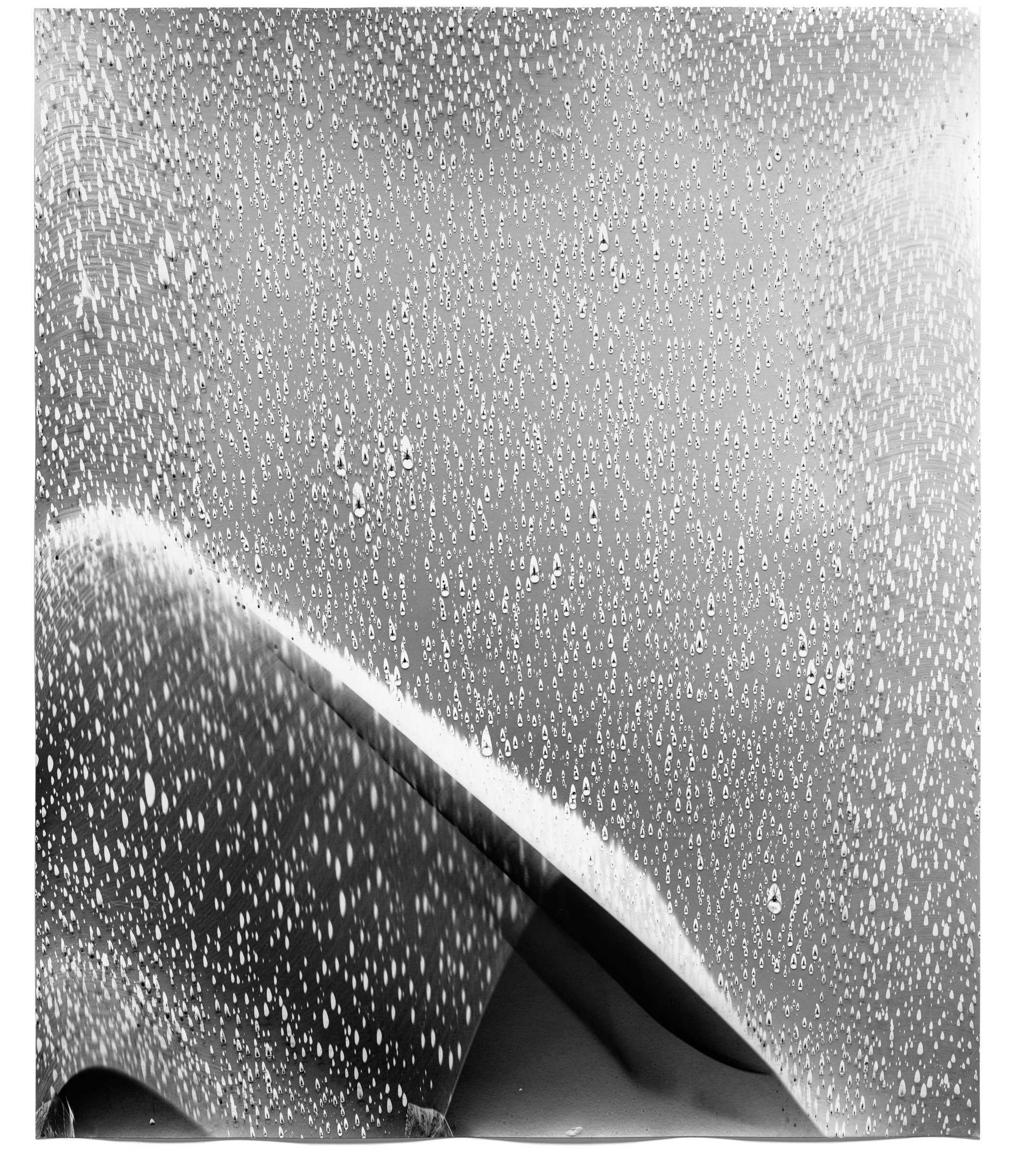   Rain Study (Kona 12),  2013   Silver gelatin photogram 24 x 20 in 
