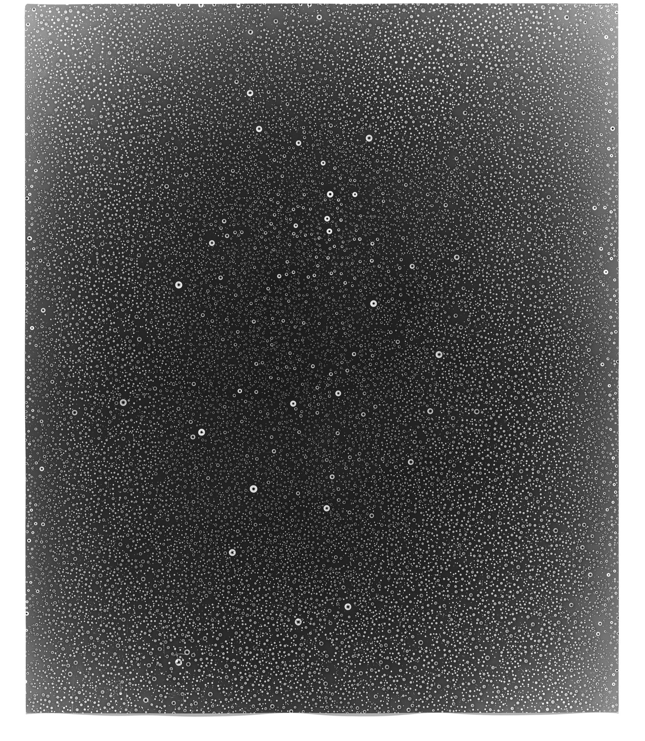   Rain Study (Kona 28),  2014   Silver gelatin photogram 24 x 20 in 
