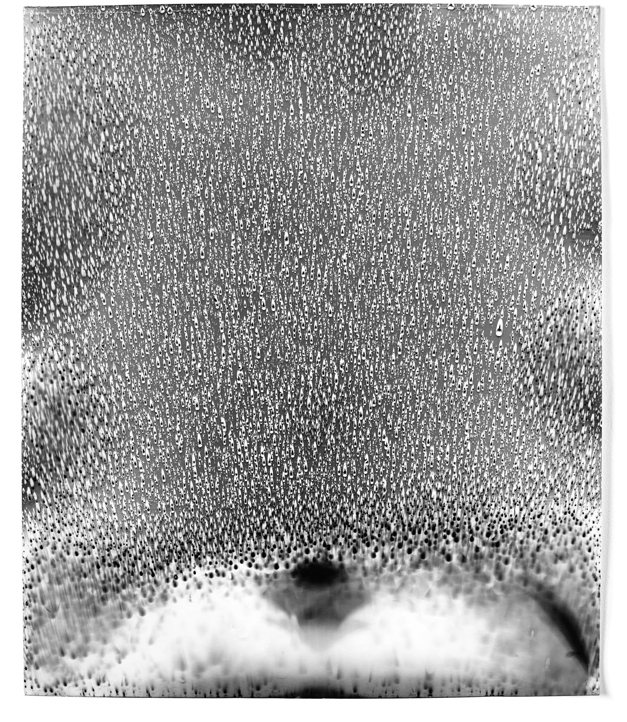   Rain Study (Puna 9),  2014   Silver gelatin photogram 24 x 20 in 