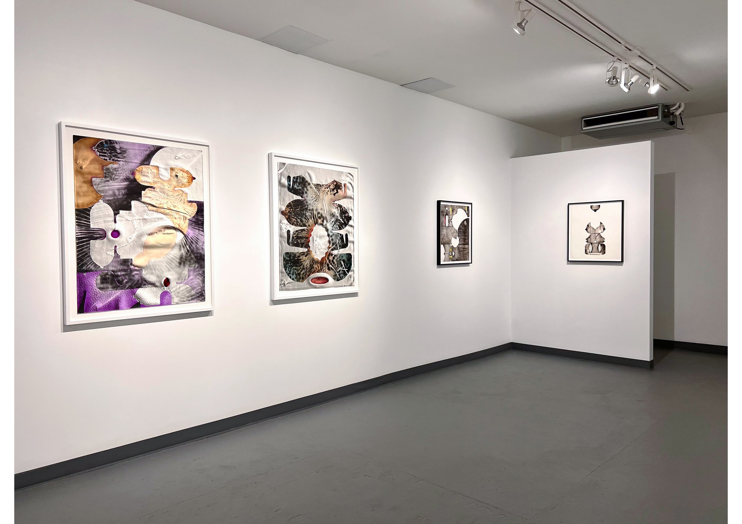  Installation view of  Rainbow Bruise,  solo exhibition at Penumbra Foundation, 2023 