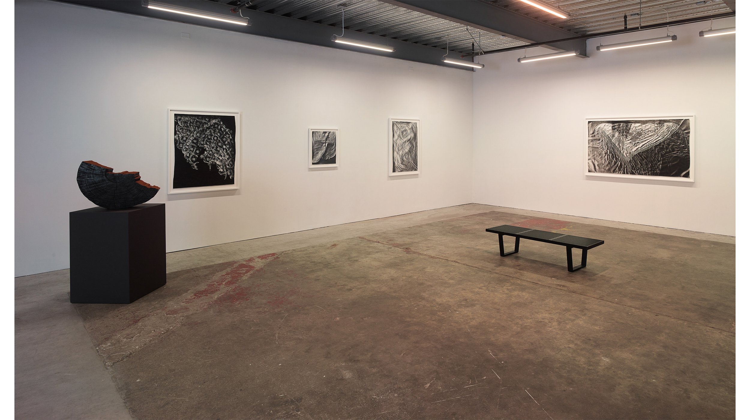  Installation view of  Witness Mark,  solo exhibition at EUQINOM Gallery, 2017 