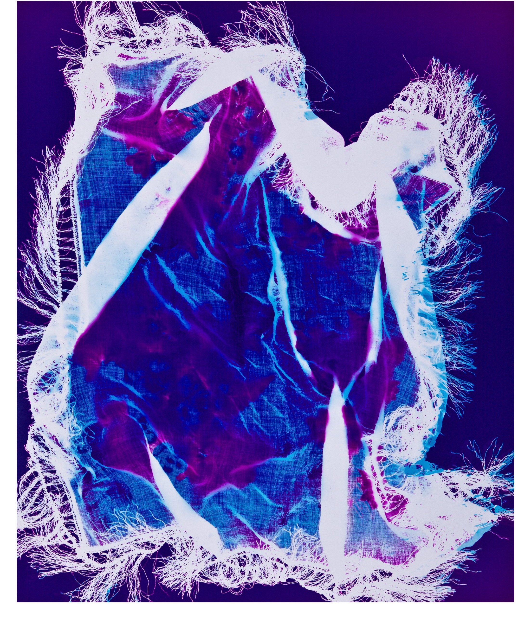   Electric Potential,  2011 Chromogenic photogram 30 x 25 in 