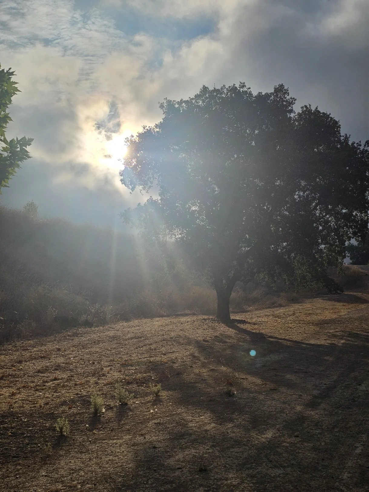 Listen for the Light