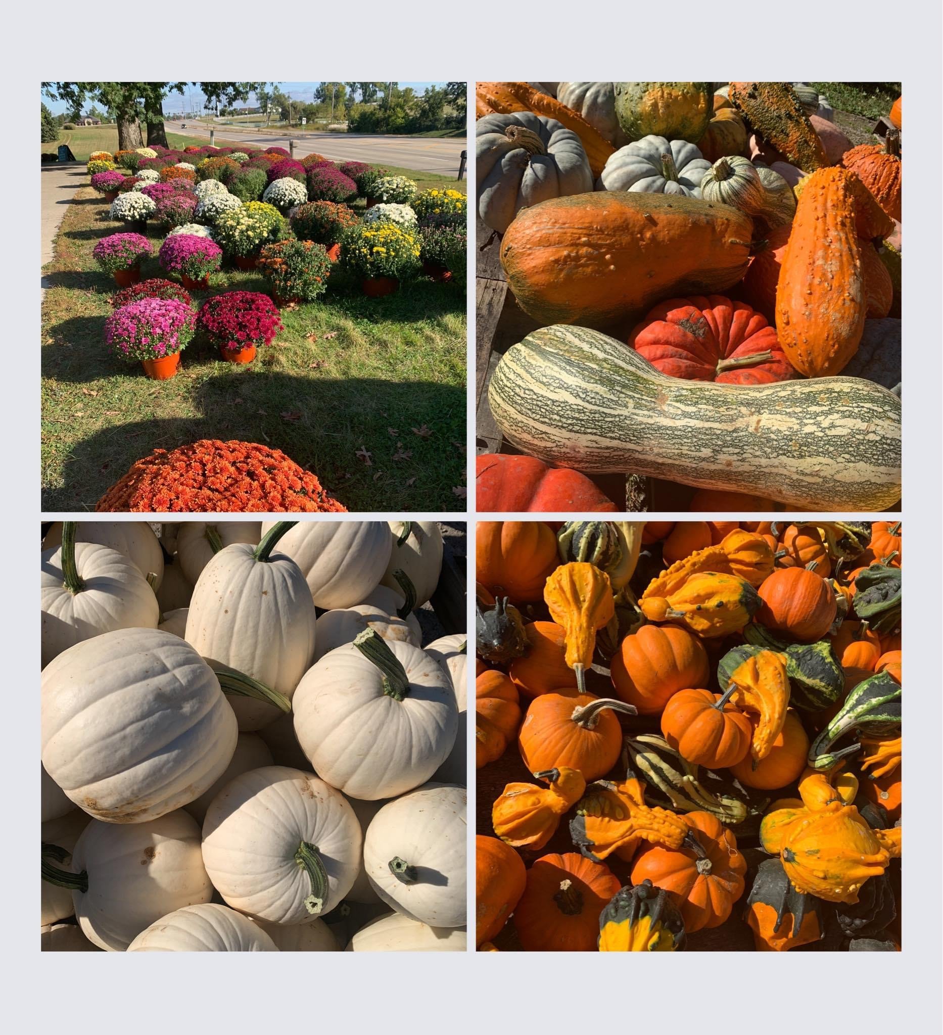 The Gourd Drop