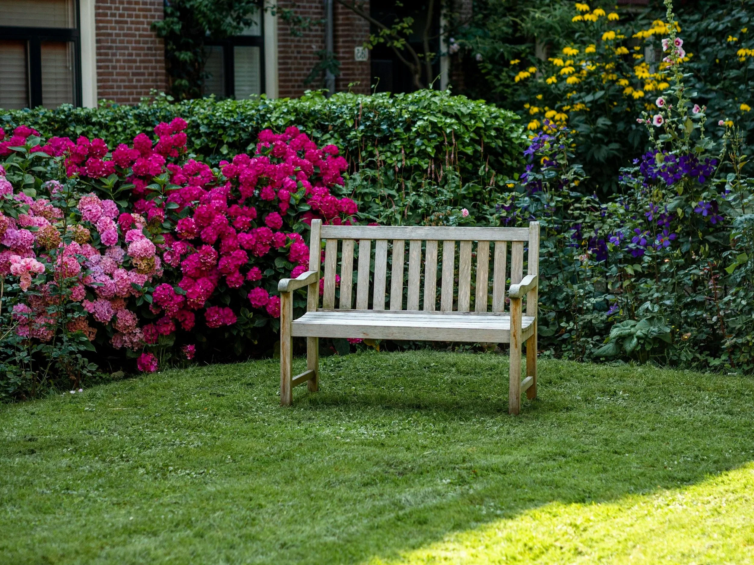 Wooden bench in a beautiful garden
