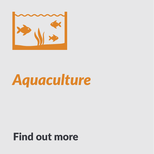 Fluid-Chillers-Australia-Process-Chillers-Industries-Homepage-Icons-Aquaculture