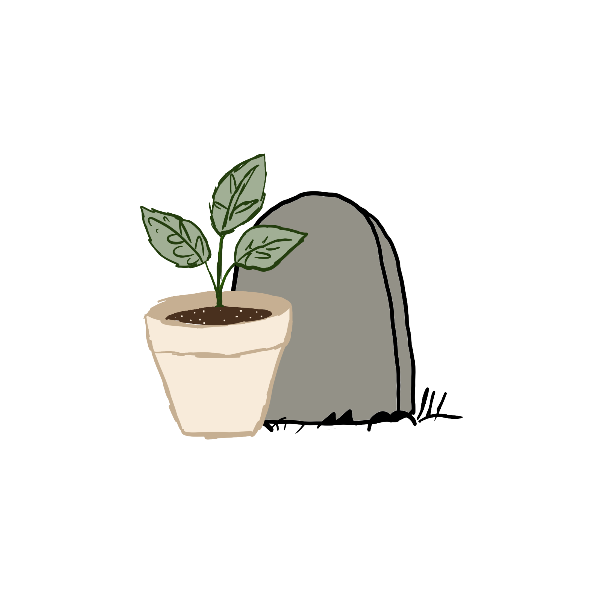 Miracle Gro