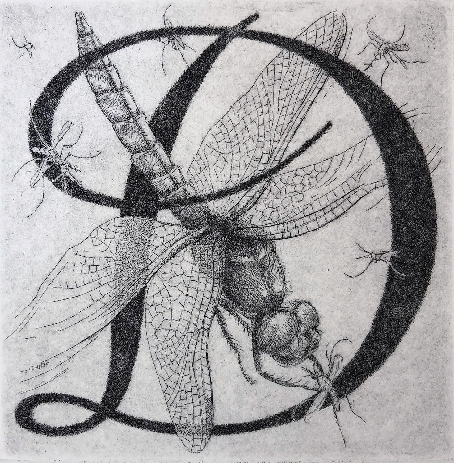 Dragonfly, by David Butz