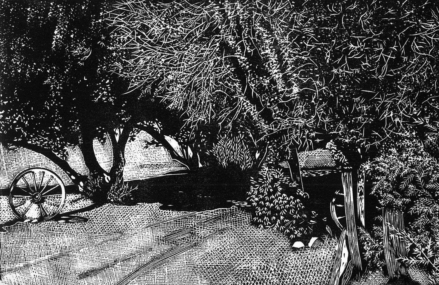 Old Olive Grove, by Robert Simola