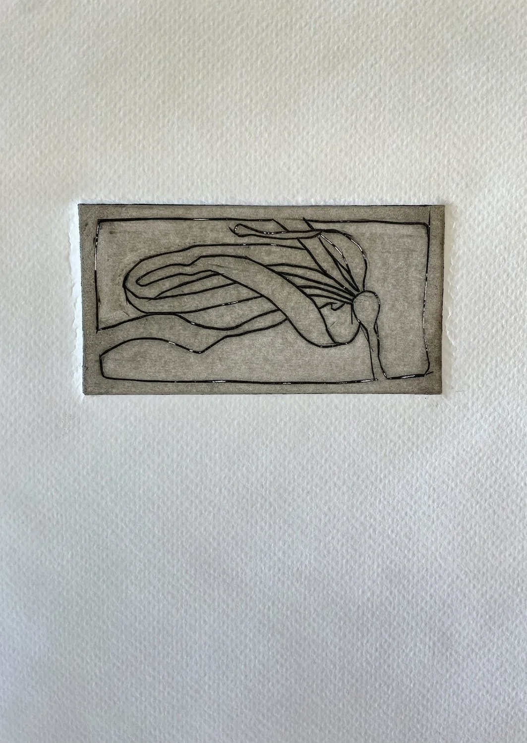 Kelp, by Patricia Martin