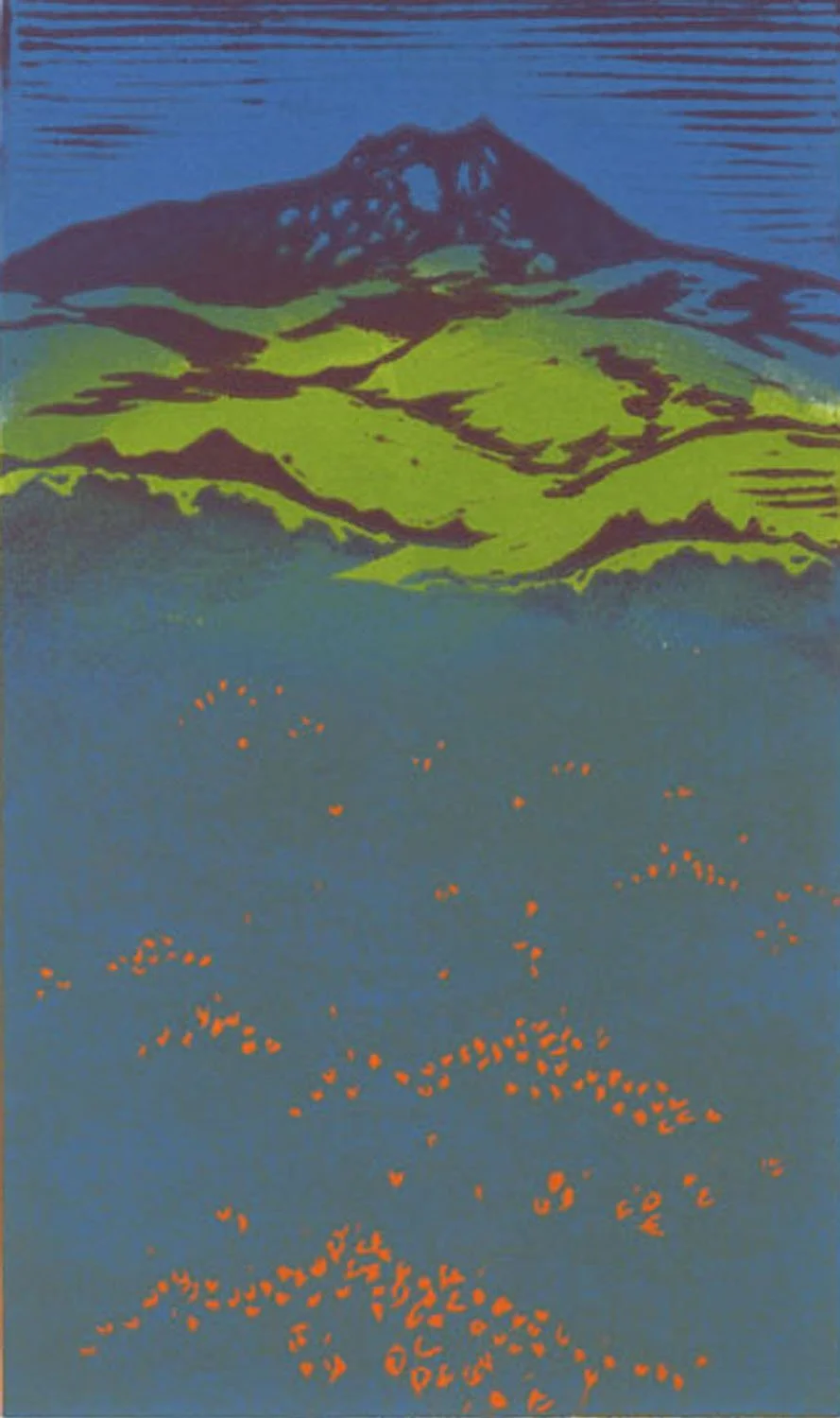 Bishops Peak, by Tricia Reichert