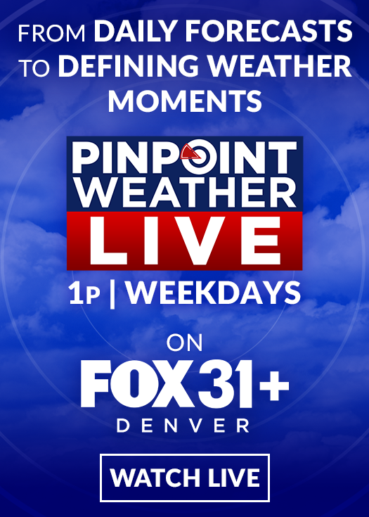 ROKU_PPWX LIVE.png