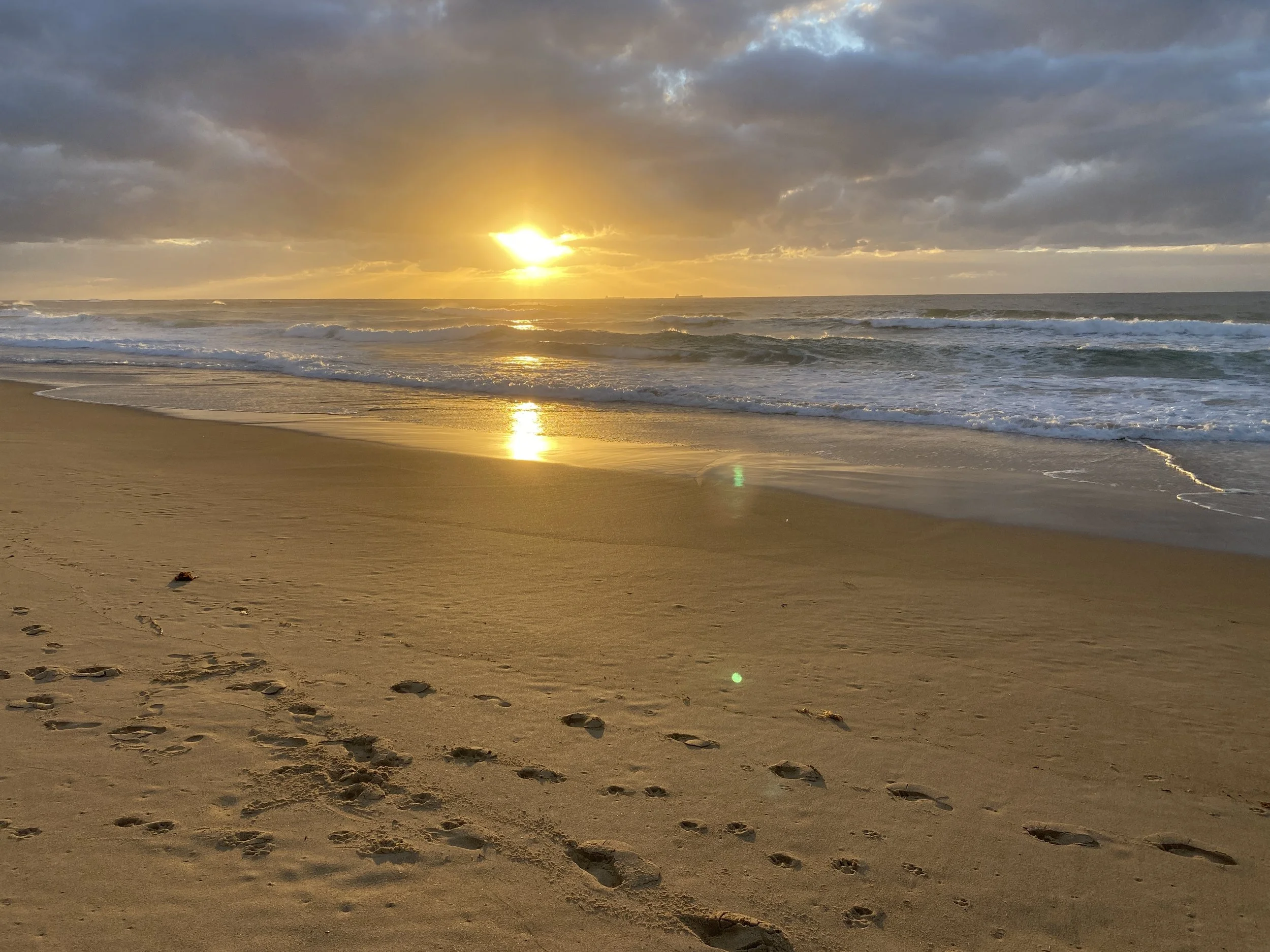 Golden sunlight on the beach in the early morning, on the NSW coast