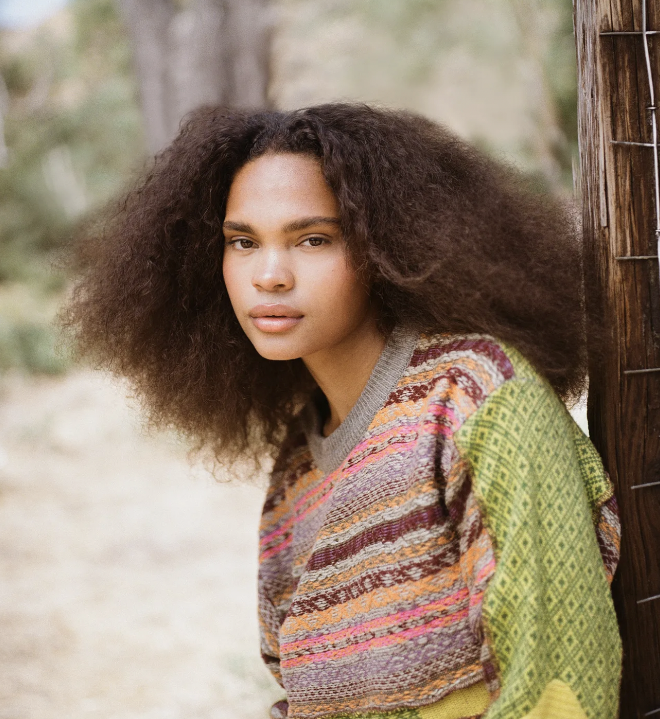 Screen Shot 2024-12-16 at 3.40.30 PM.png