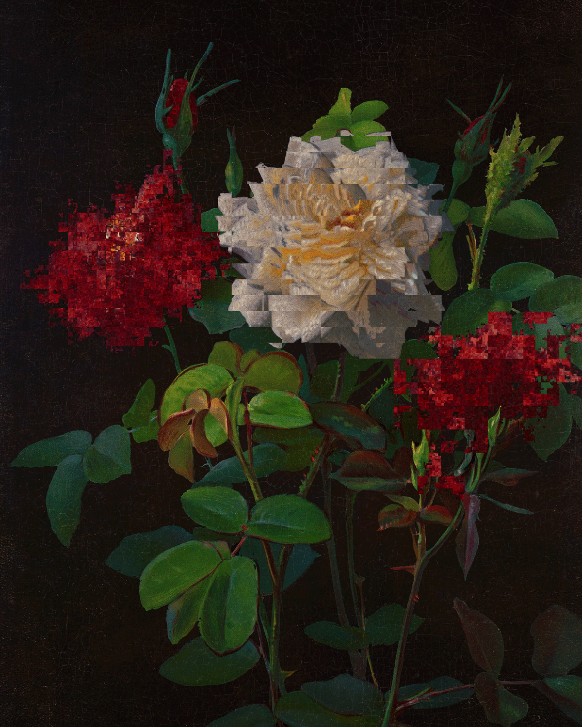 Perfect Flaw 🔴