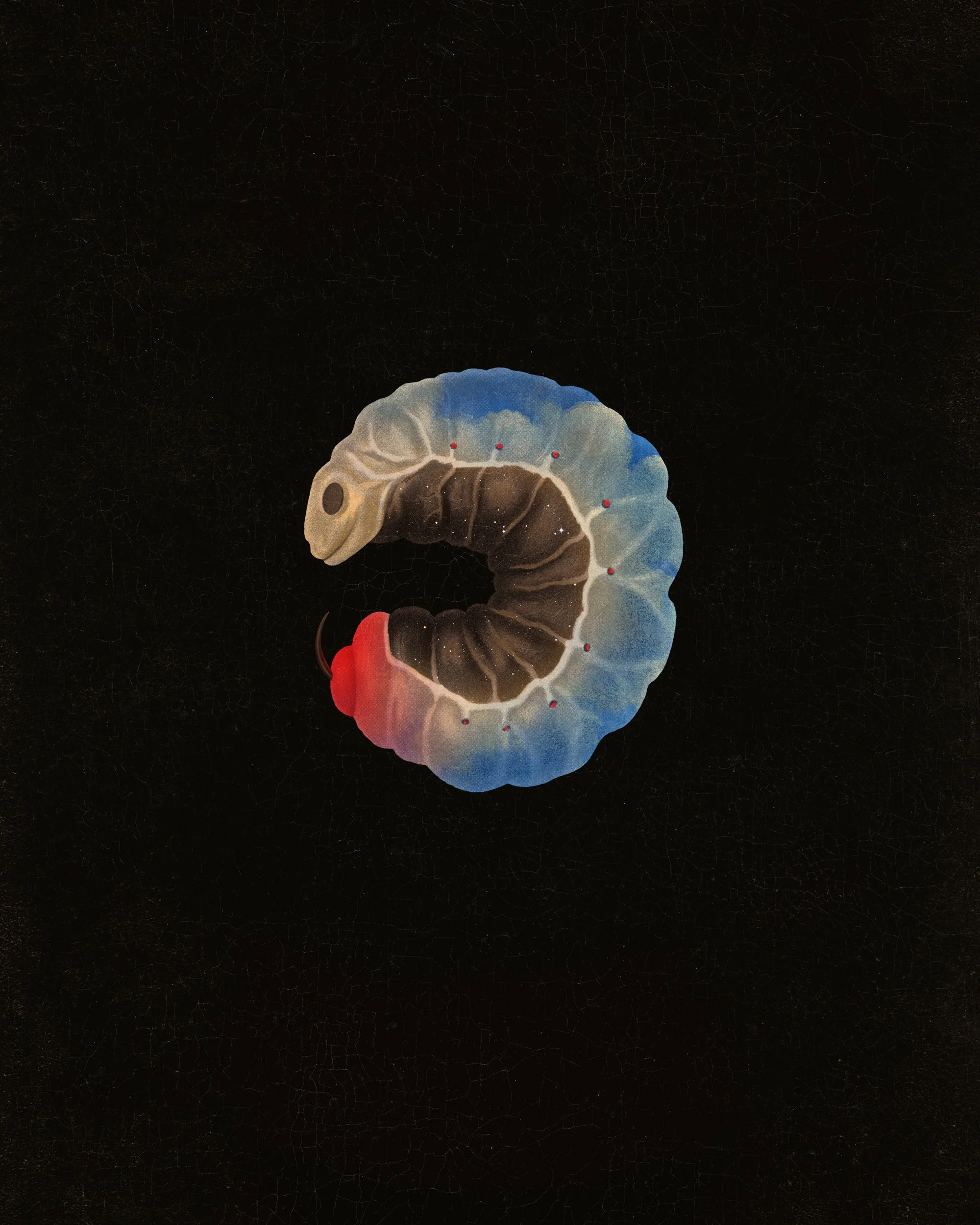 Wormhole