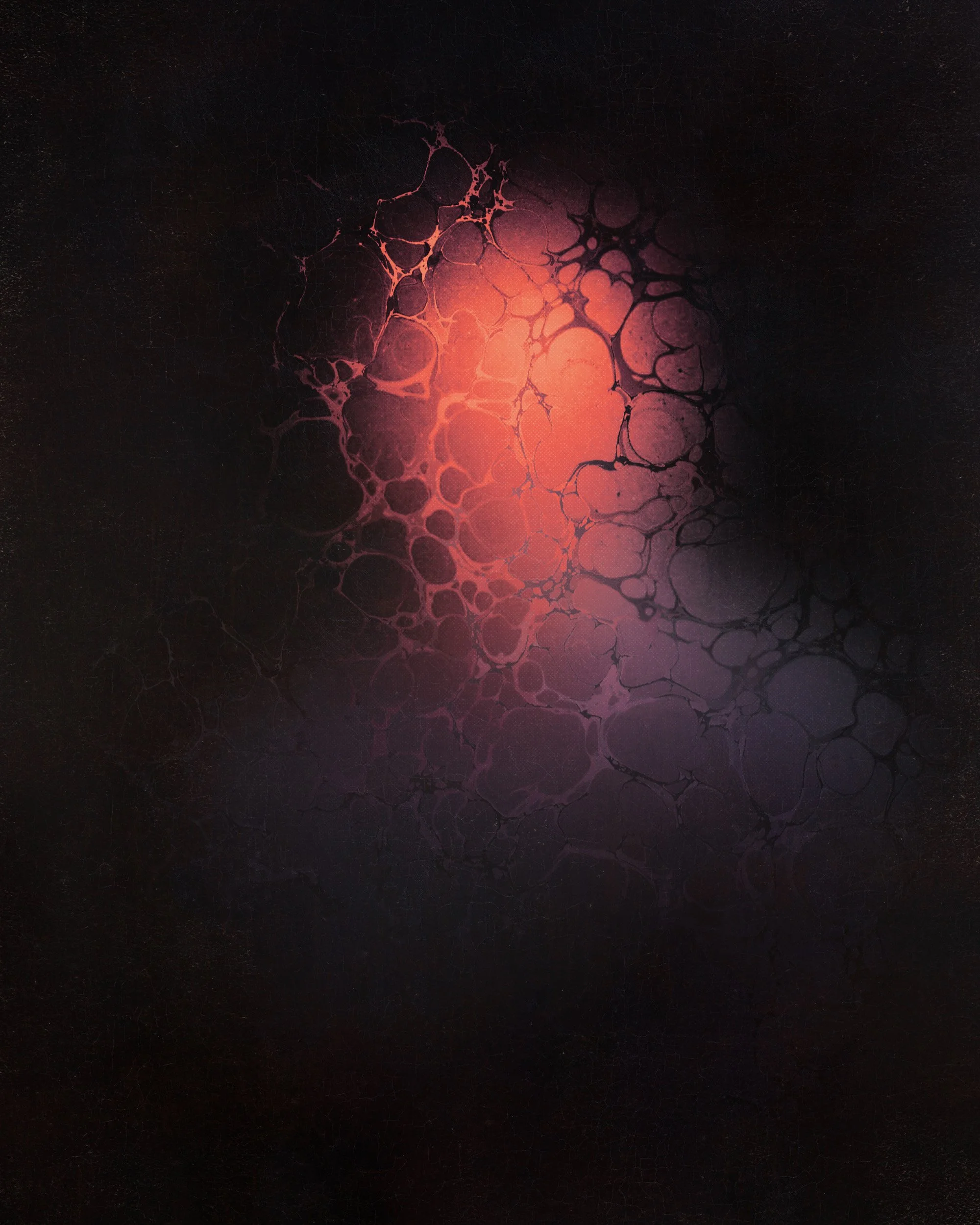 Portrait of a Supernova