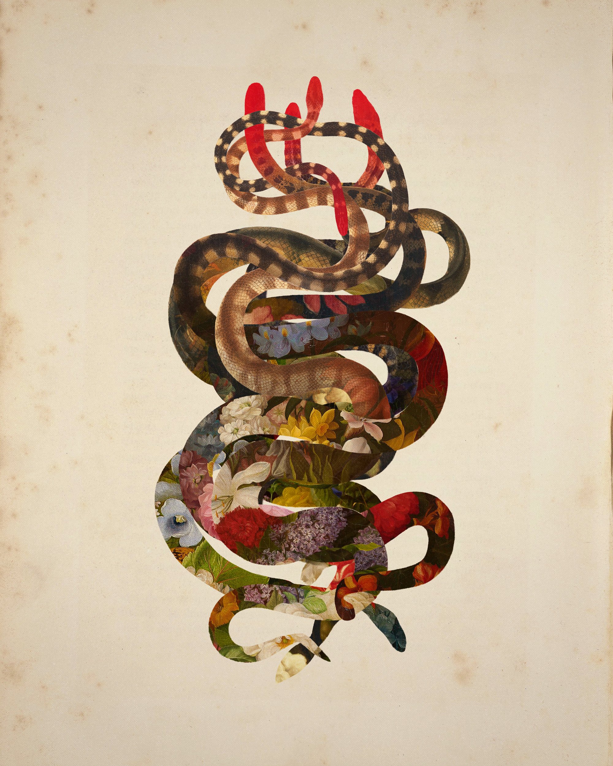 Entangled