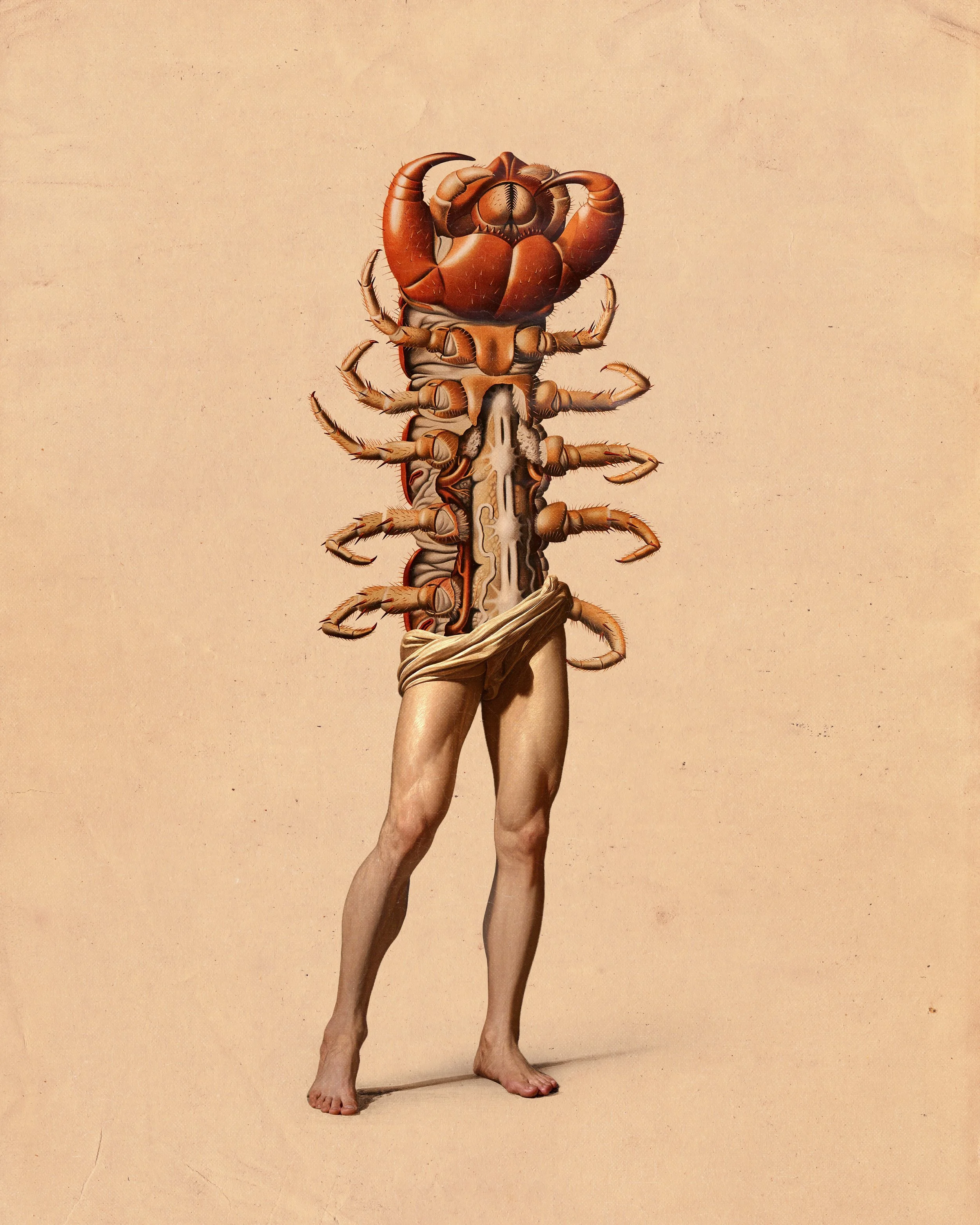 Flexoskeleton