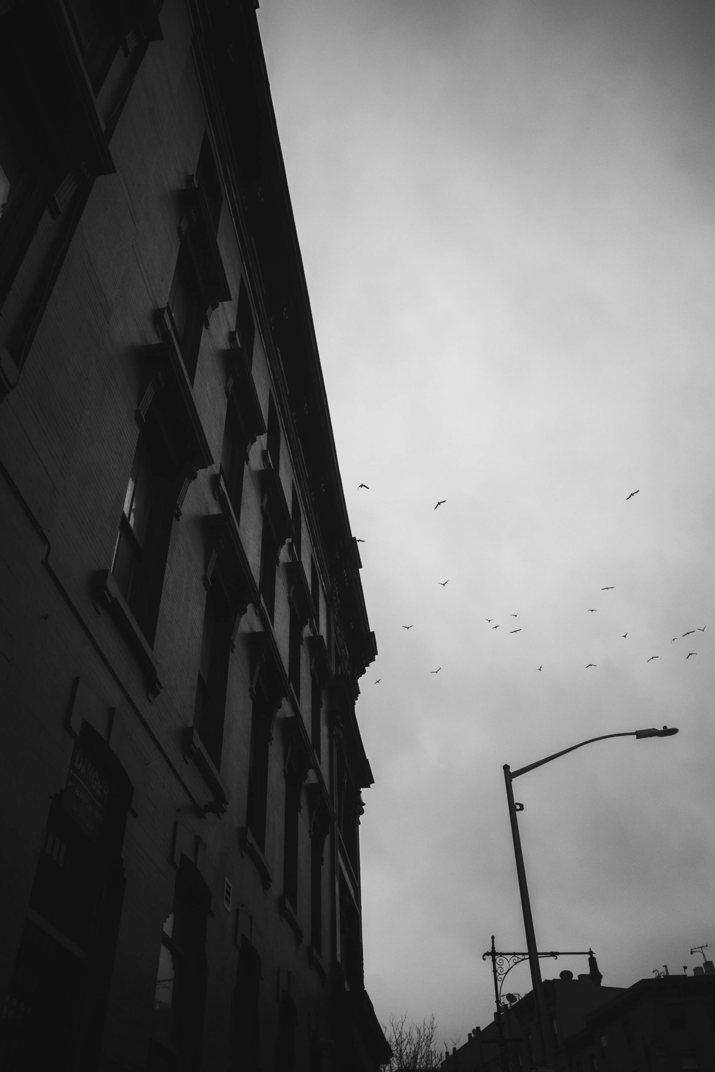 ML000275.jpg