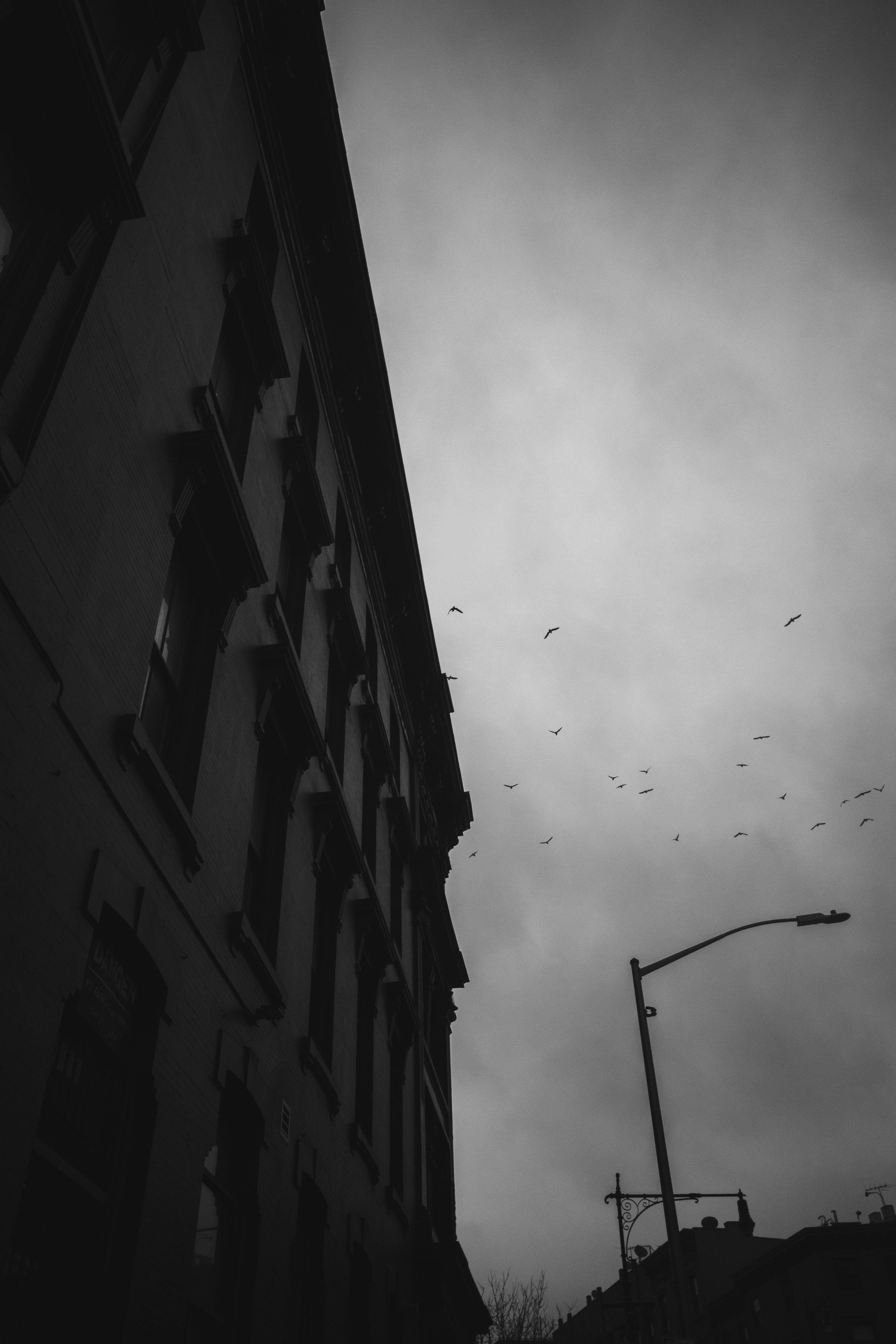 ML000275-2.jpg