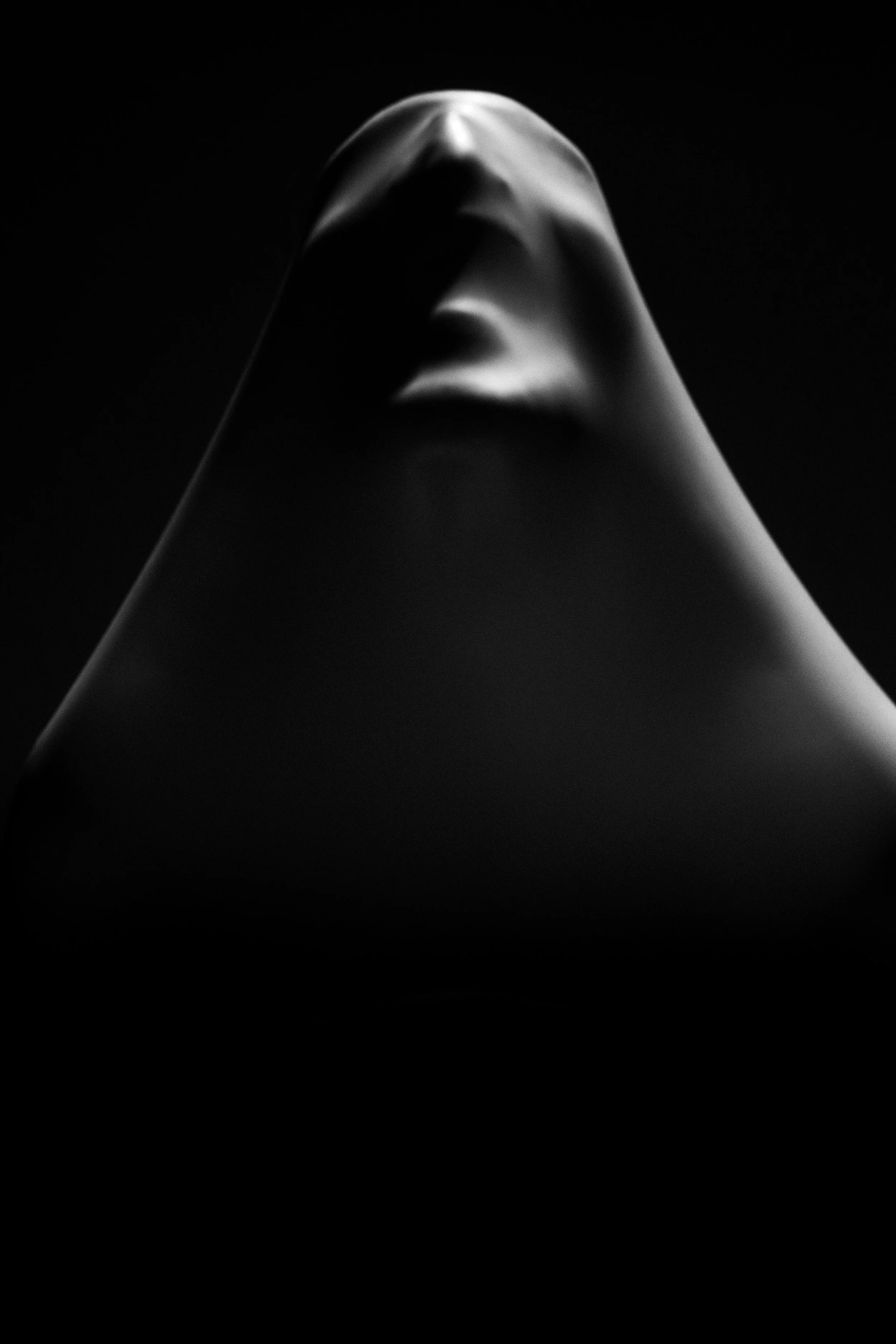 ML002495.jpg