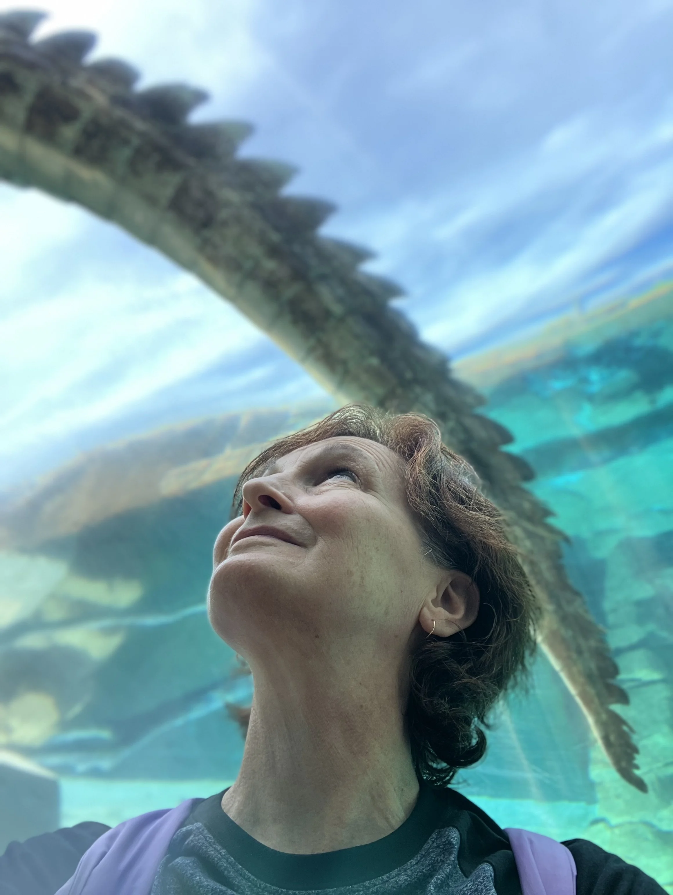 The perfect activity for Twixmas…