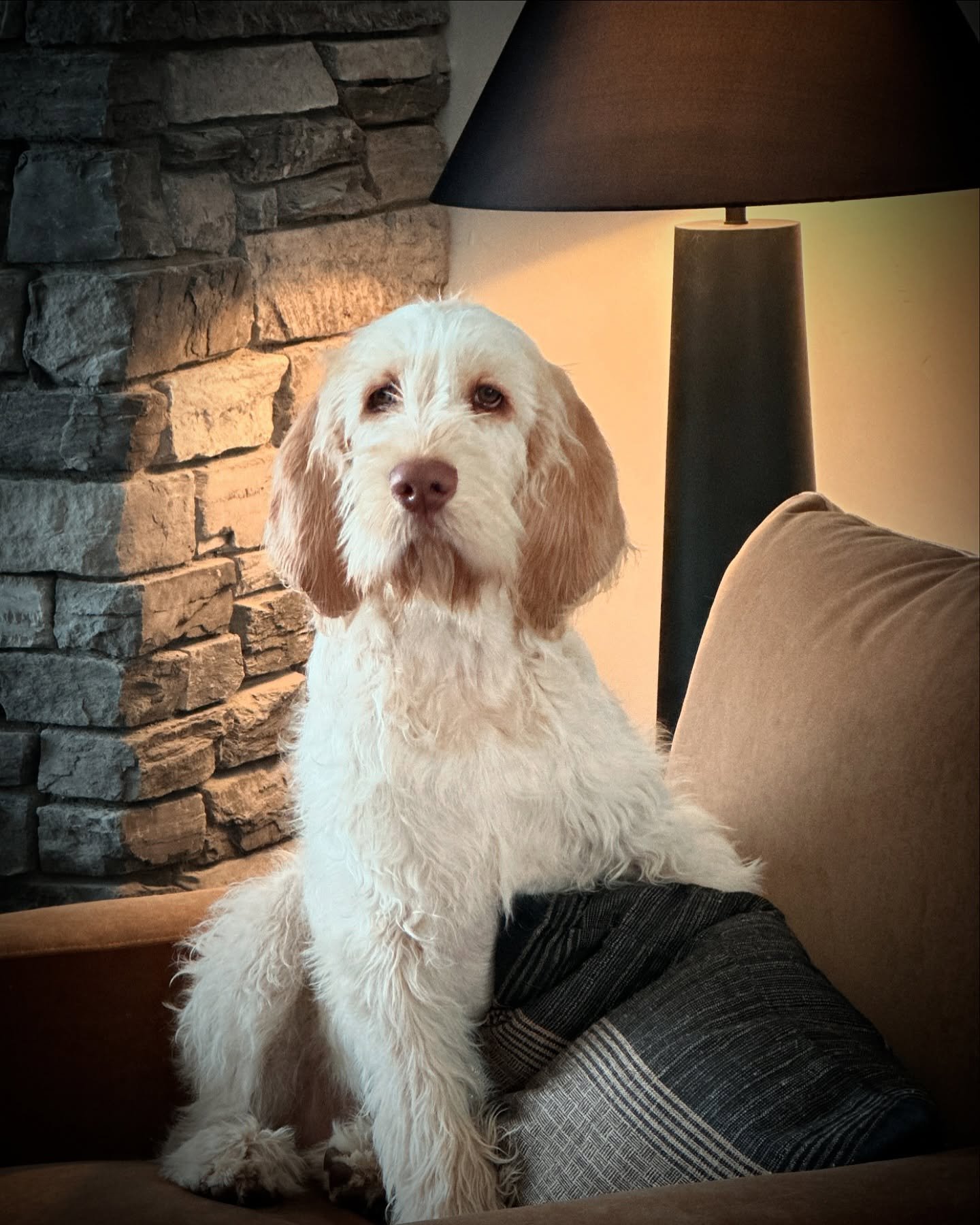 So&hellip; can u really fall in love with this face. I did, welcome to your family❤️ you are perfect Olive