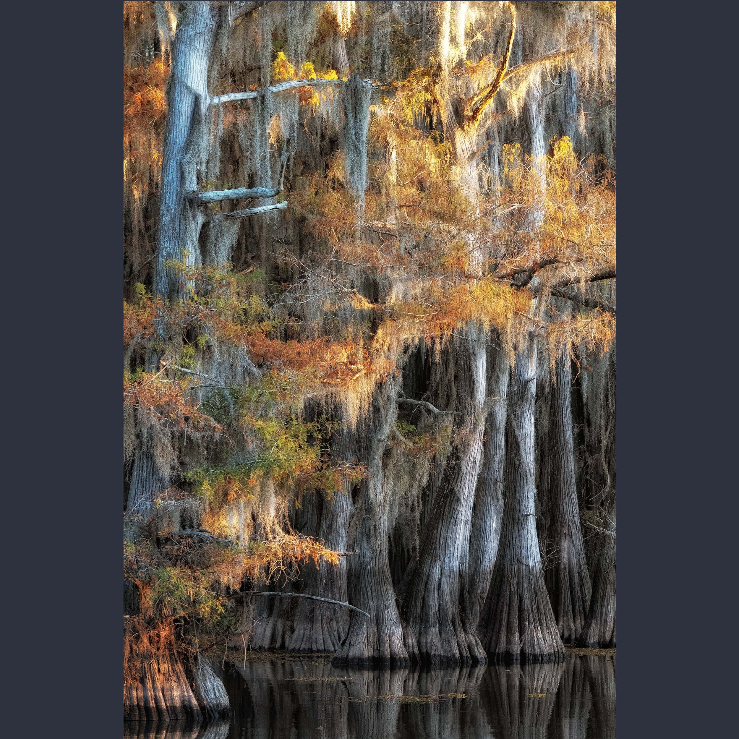 LU_CaddoPhotos_onBlueBack_SQ_LightAut.jpg