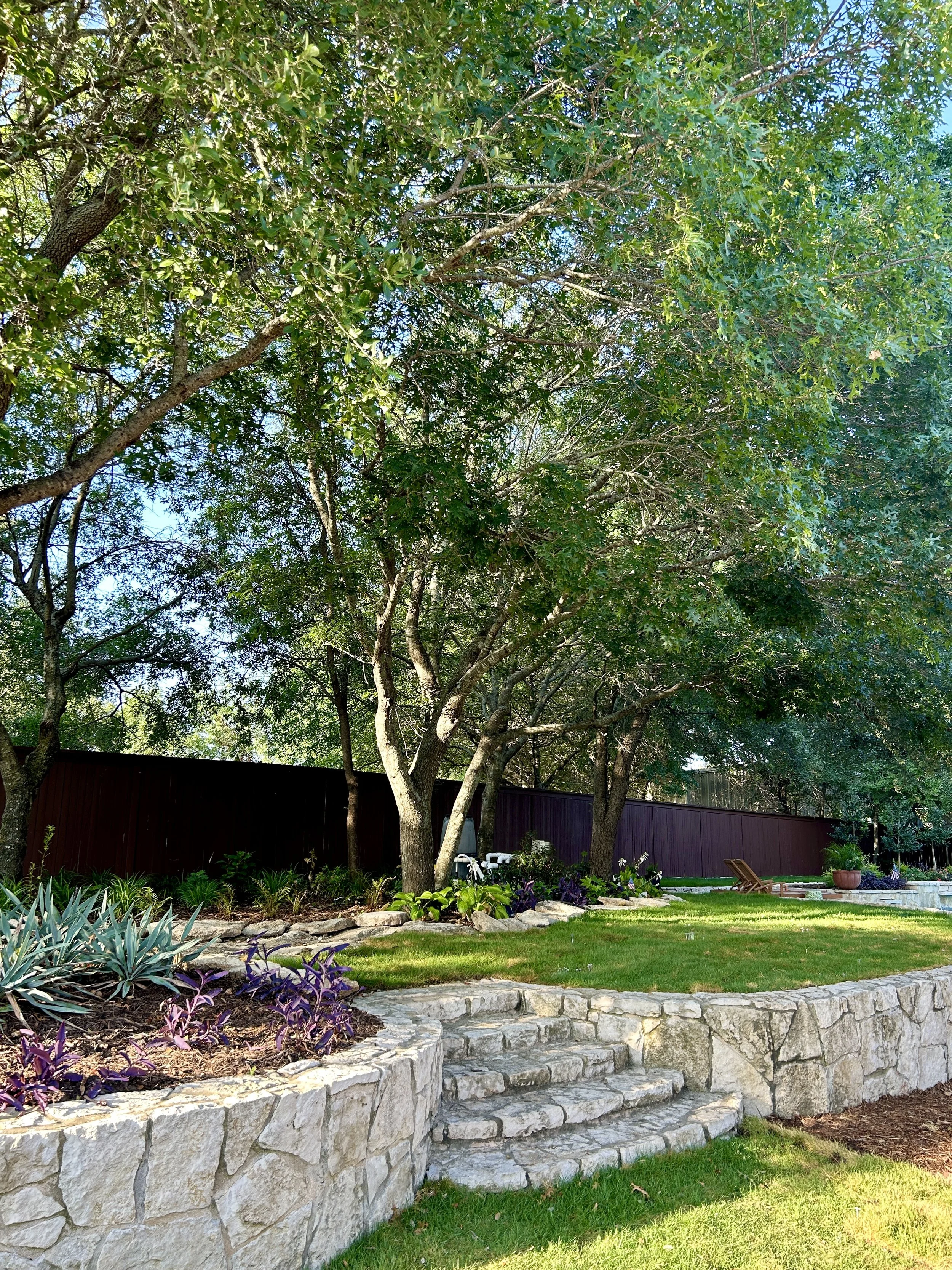 Backyard garden with stone steps, trees, green grass, and purple plants under a clear sky.