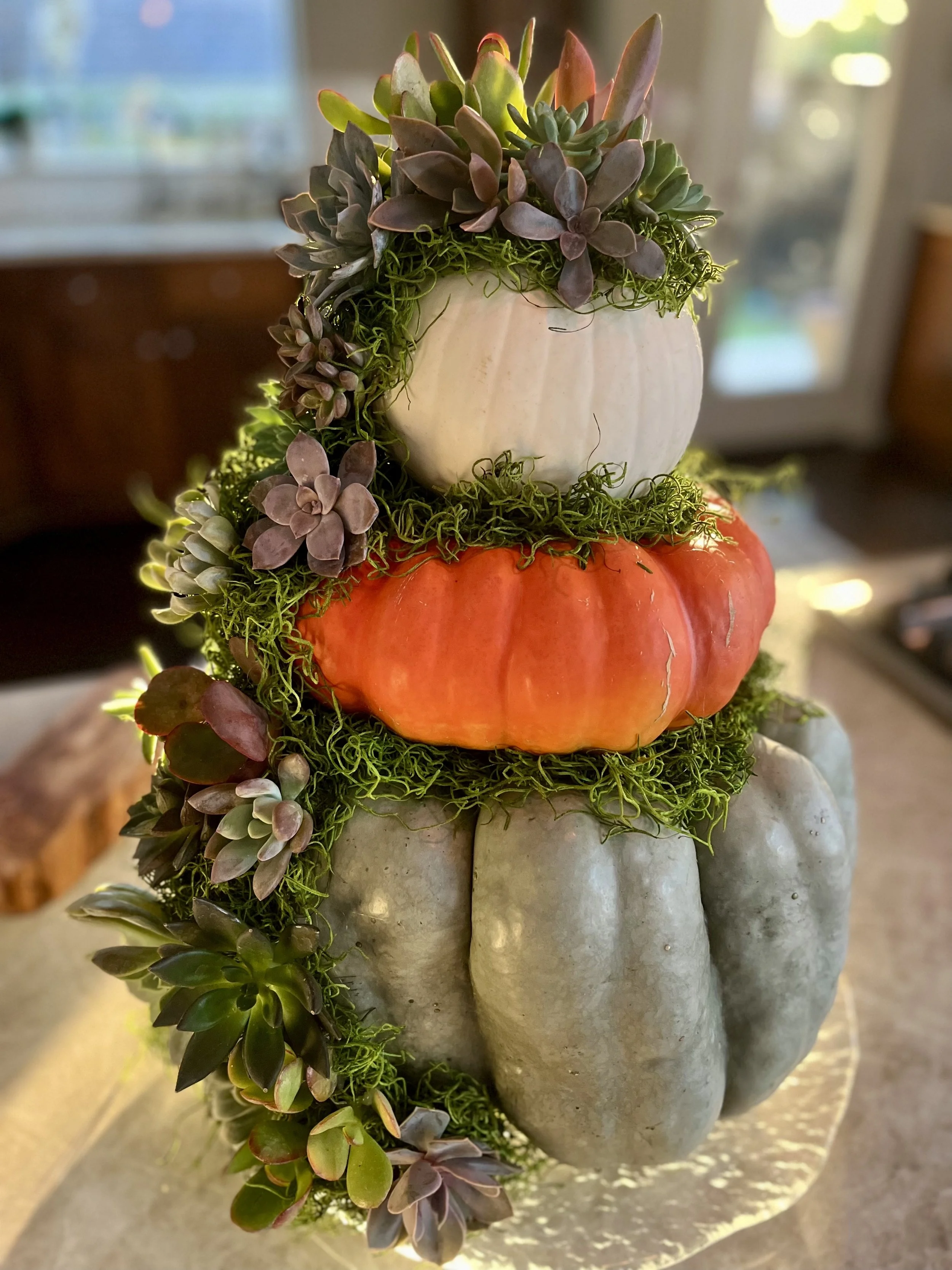 A decorative tiered arrangement with pumpkins and succulents. The top tier is a white pumpkin, the middle a orange pumpkin, and the bottom tier a gray-green pumpkin, all surrounded by green moss and purple and green succulents.