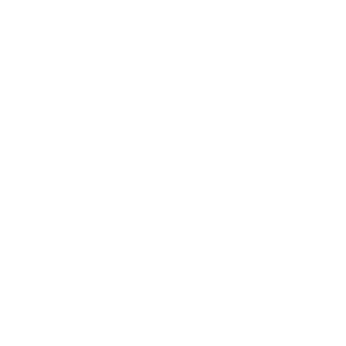 Brittany Bishop Coaching
