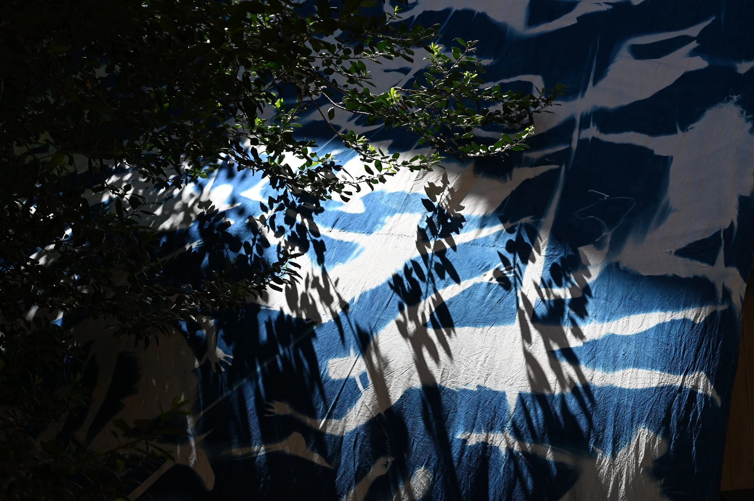 DSC_2966.JPG