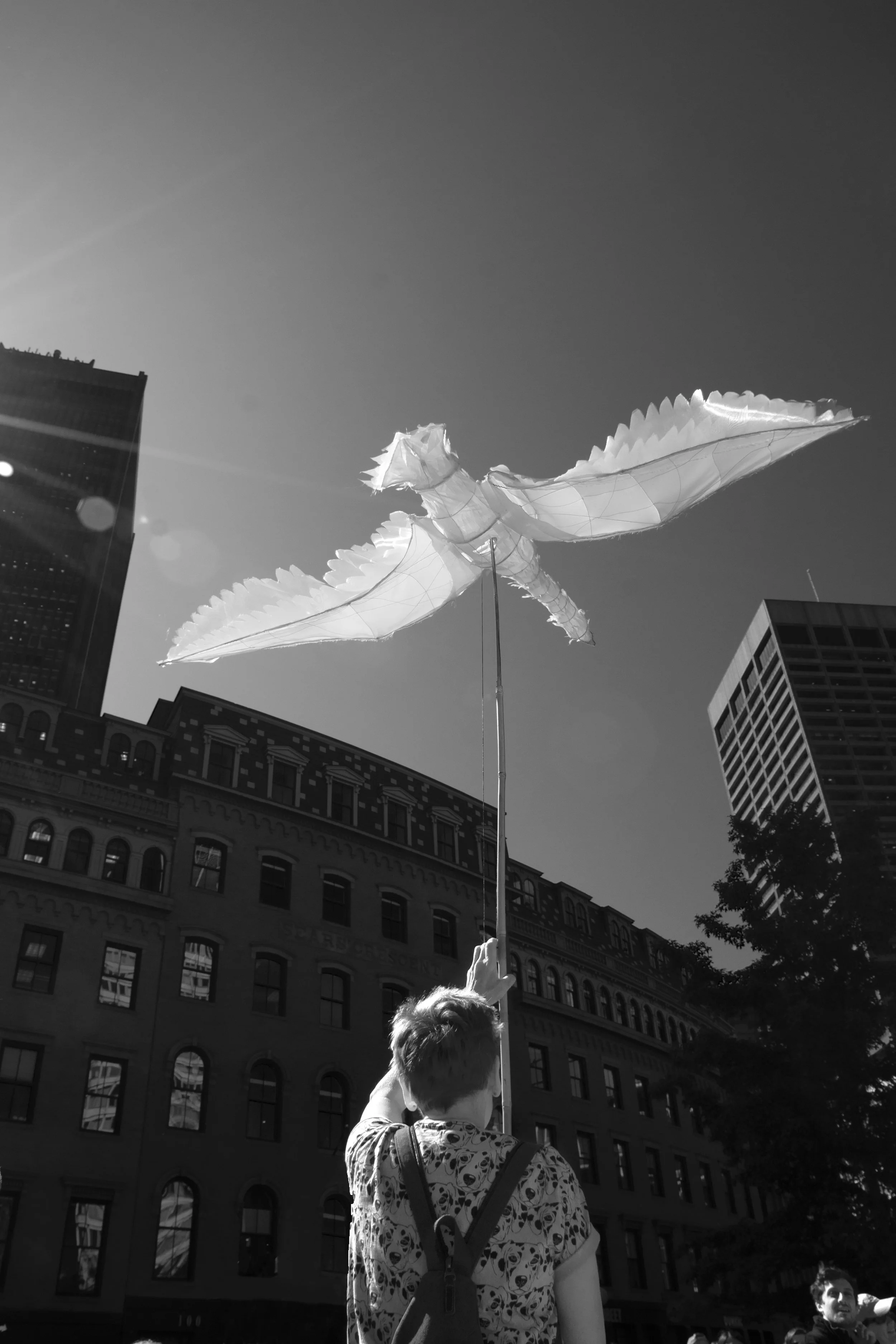 PHOTO4.JPG