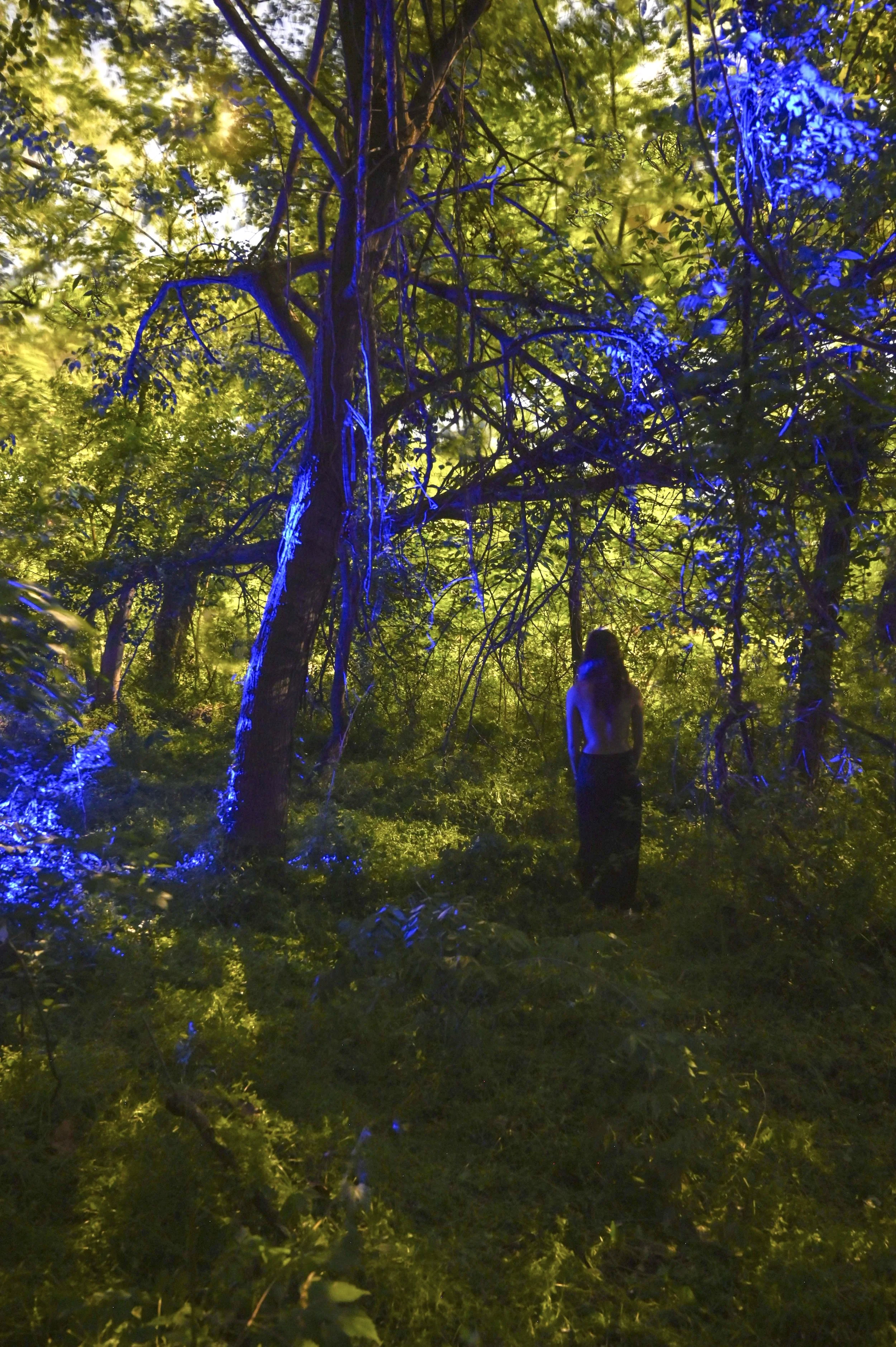 Image 4-24-23 at 3.56 AM (1).jpg