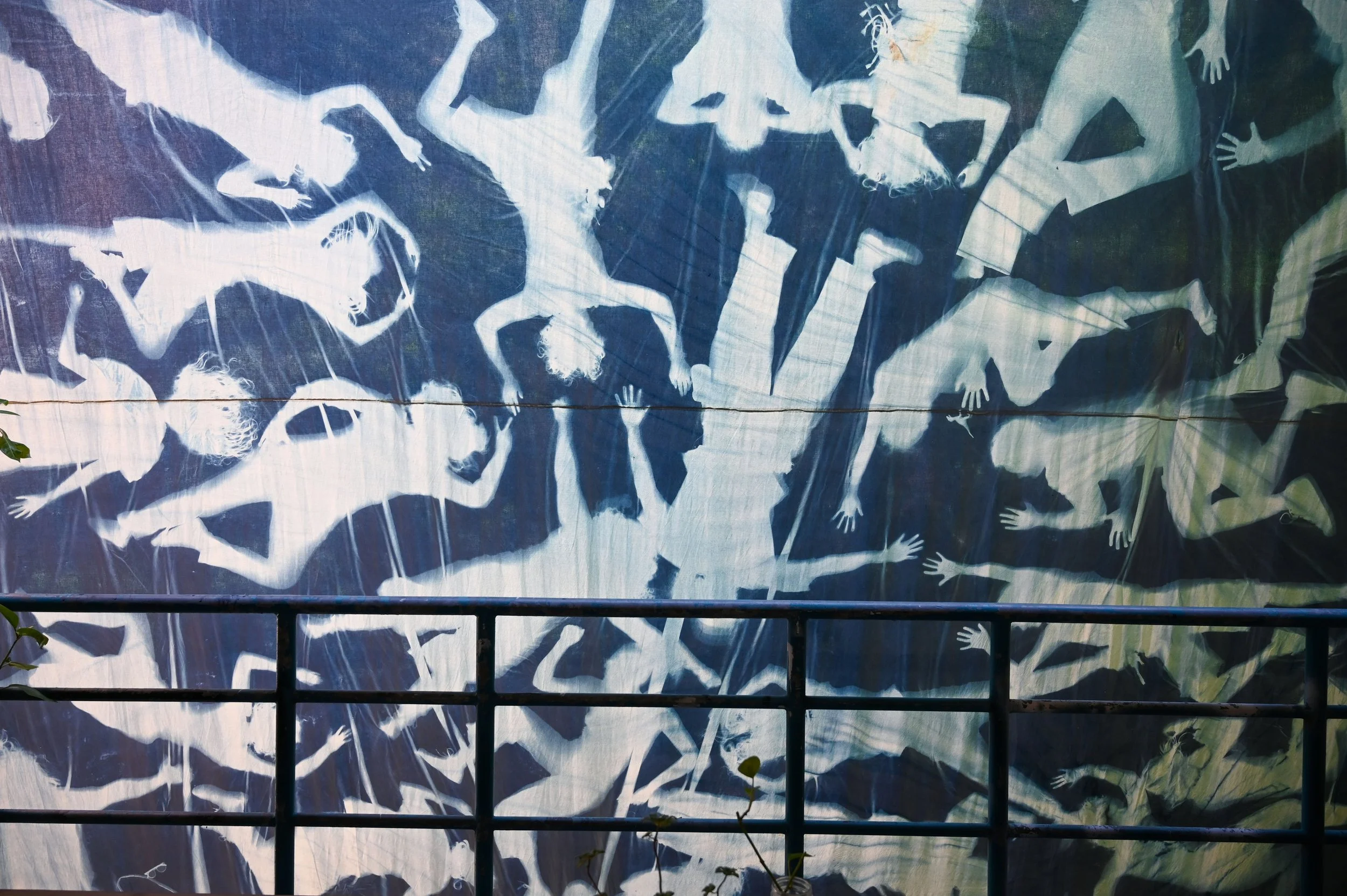 Cyanotype Banner, 2026