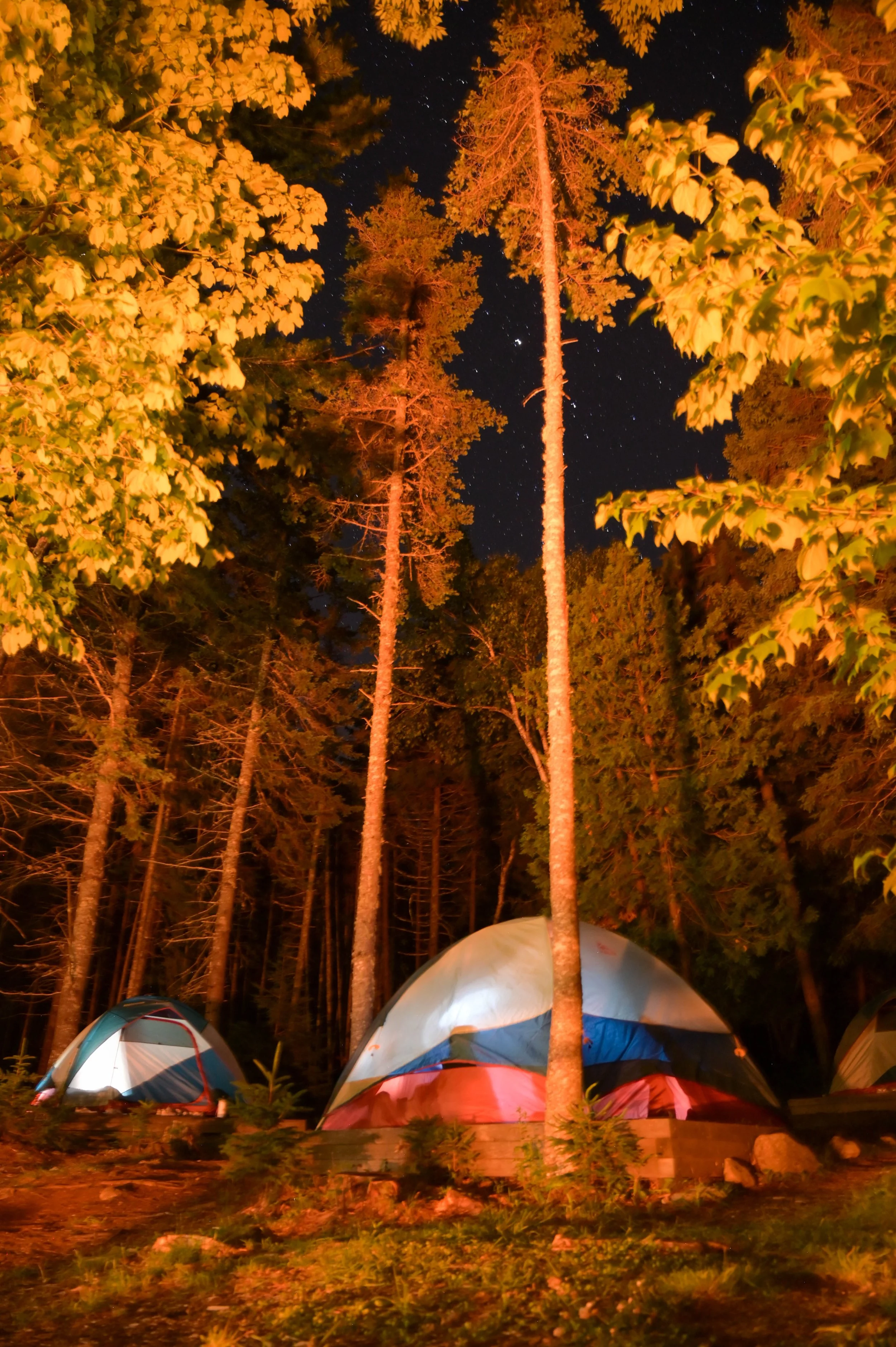 DSC_3686.jpg