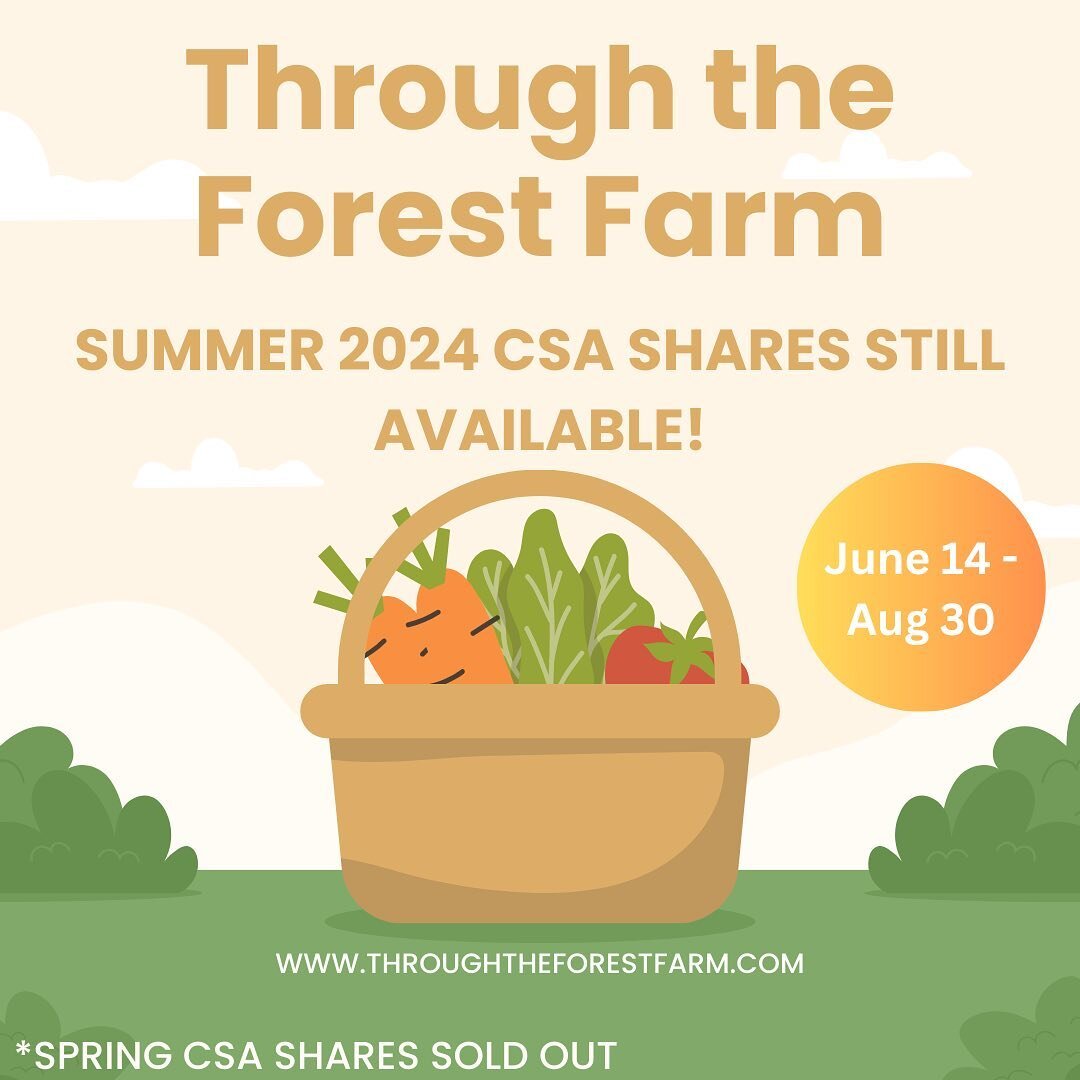 Spring shares are sold out but summer shares are still available! Think about opening a box of fresh from the farm cucumbers and heirloom tomatoes ☀️#eatlocal #howardcounty #clarksvillemd #heirloomtomatoes