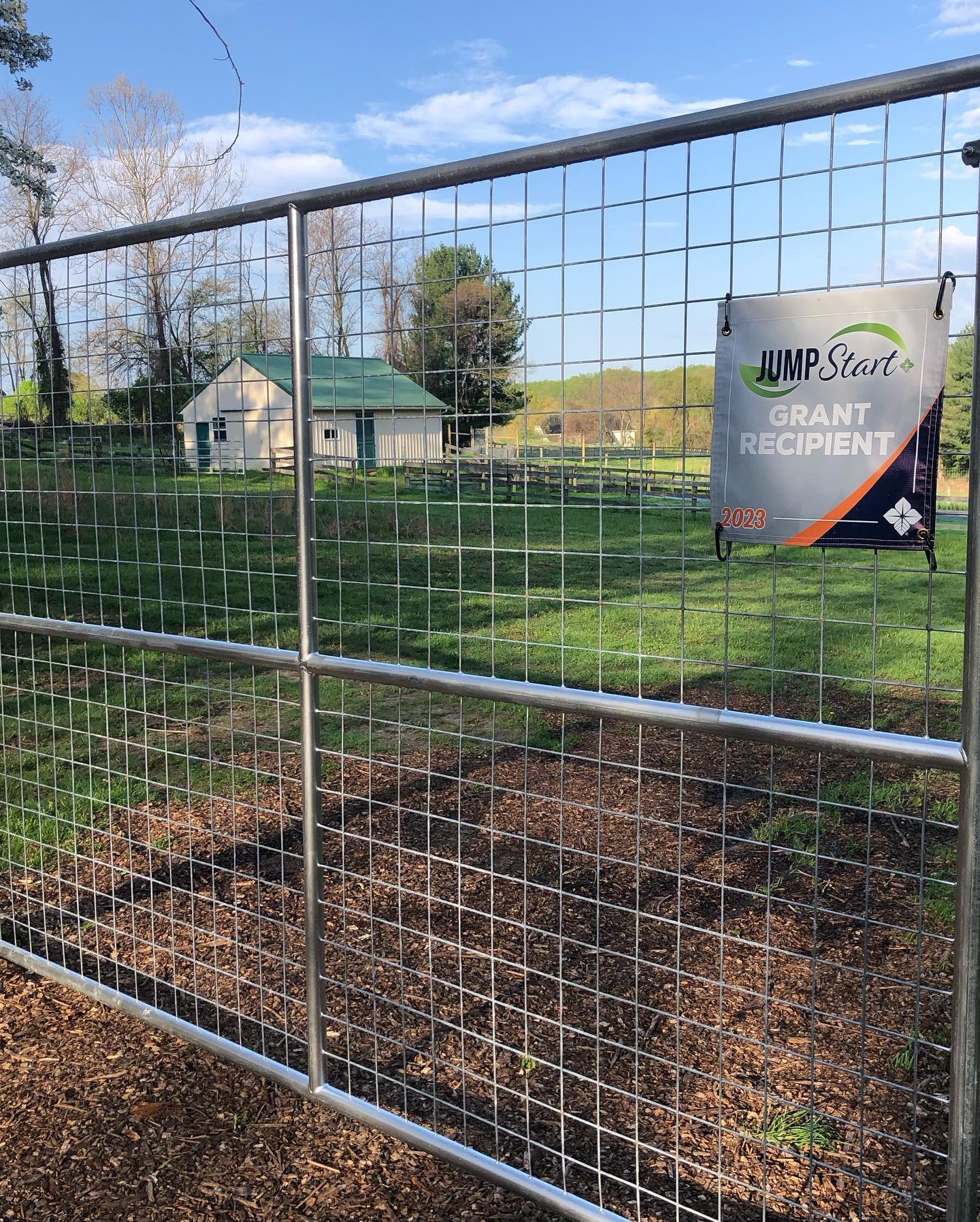We are so grateful to have received funding to help install this beautiful deer fence. The jumpstart grant is so aptly named. This was such a huge game changer getting our new farm (and seeds) off the ground. Everyone is ecstatic, except for the deer