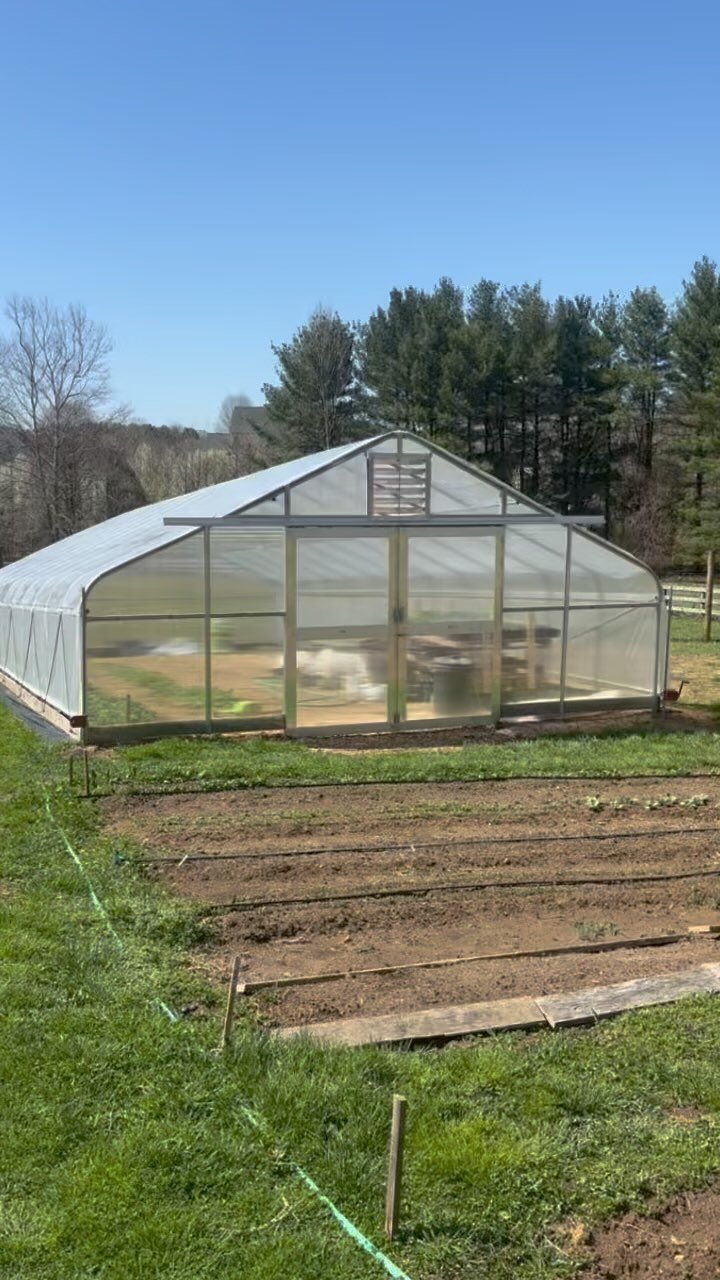 Still enjoying the high tunnel 😊#newhightunnelgrower #firstspringwithahightunnel
