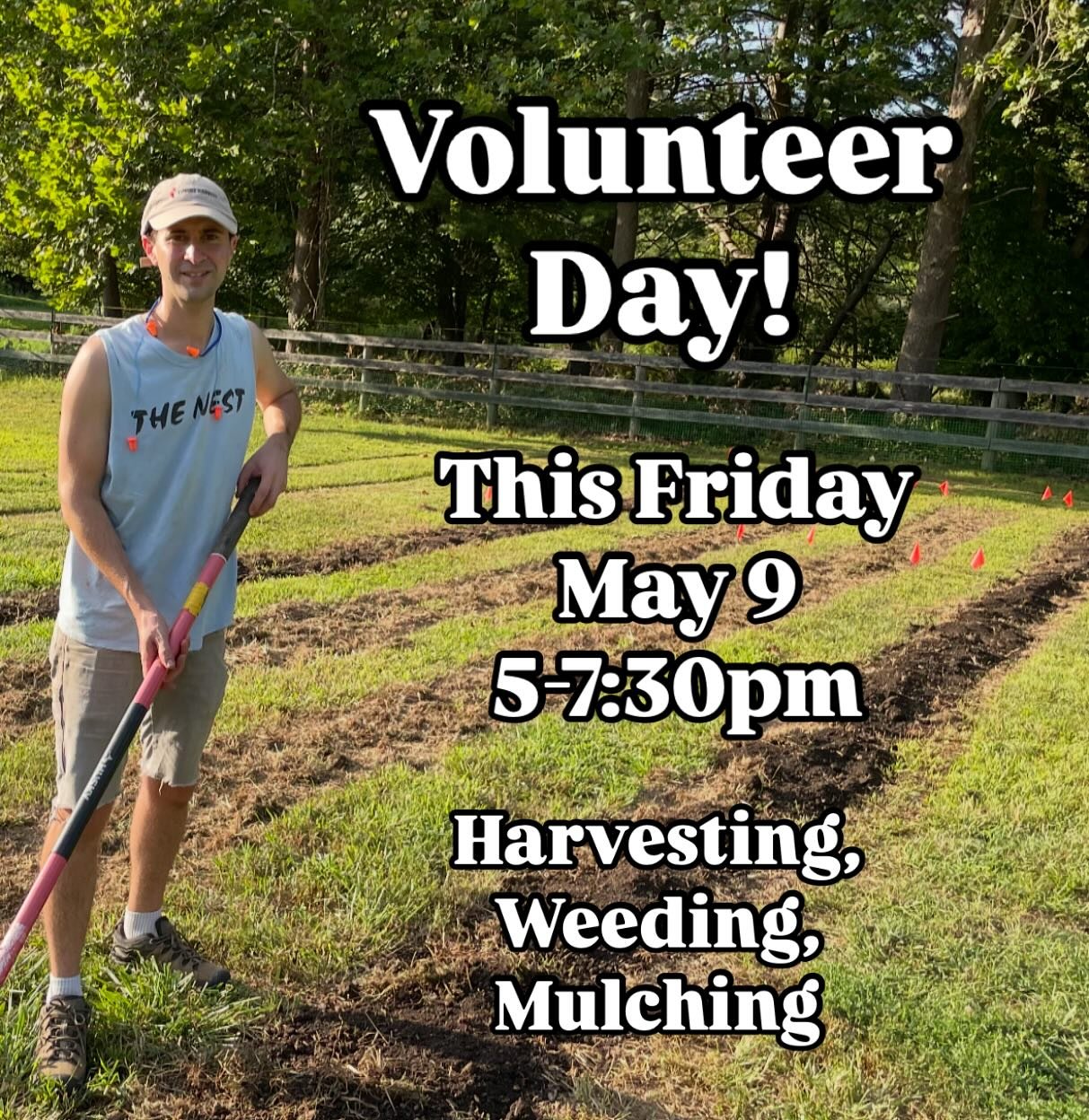 Have you had the urge to get your hands dirty or learn more about what it takes to grow veggies? It’s a busy time of year on the farm and we’d love your help! Join us this Friday anytime between 4:30 and 8 to help with harvesting, weeding