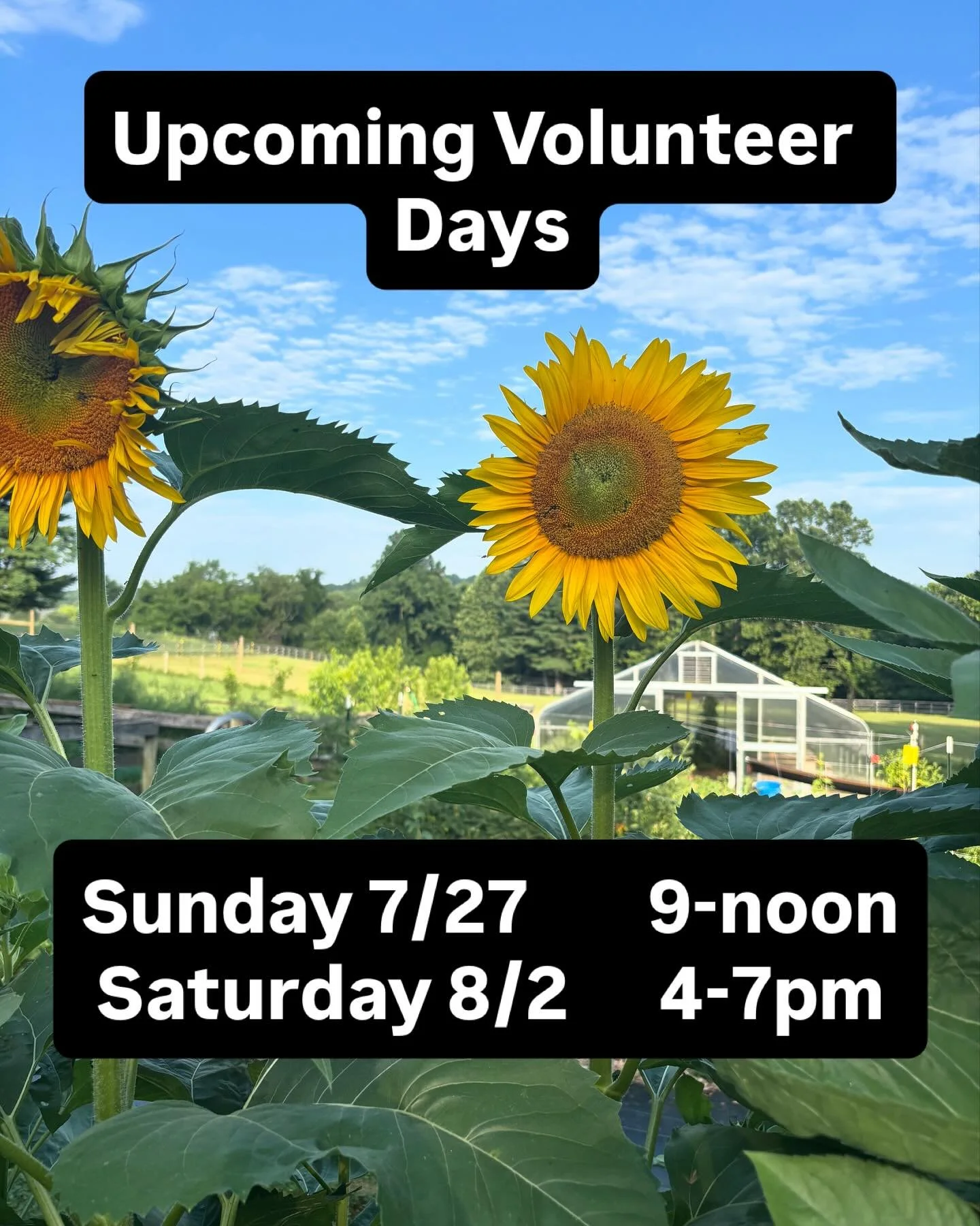 We&rsquo;ve missed you! There&rsquo;s lots of weeding, harvesting, and more to do. Let us know if you plan to join us. Hope to see you there!