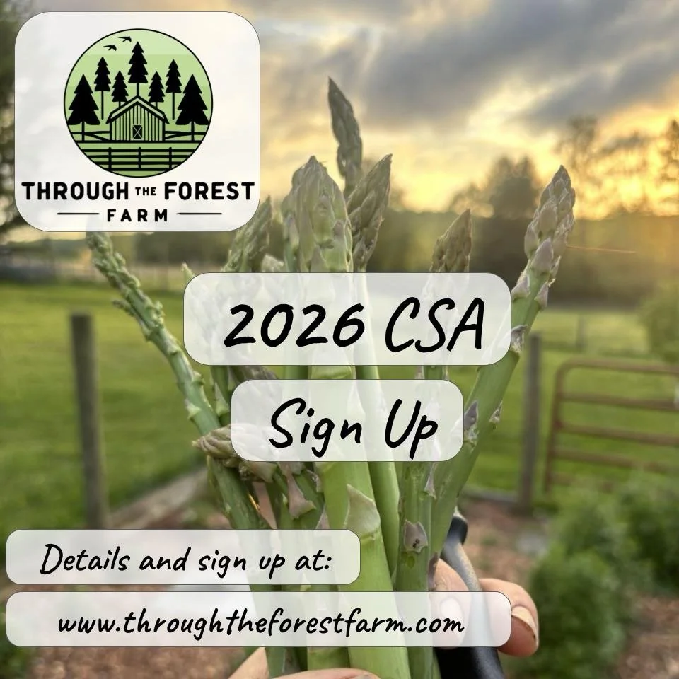 2026 CSA Signup is now open!! Join us for a Spring/Summer filled with fresh produce! Starts March 28 (Spring) and May 23 (Summer). Limited shares available. Sign up link in bio. Reach out if you have any questions!